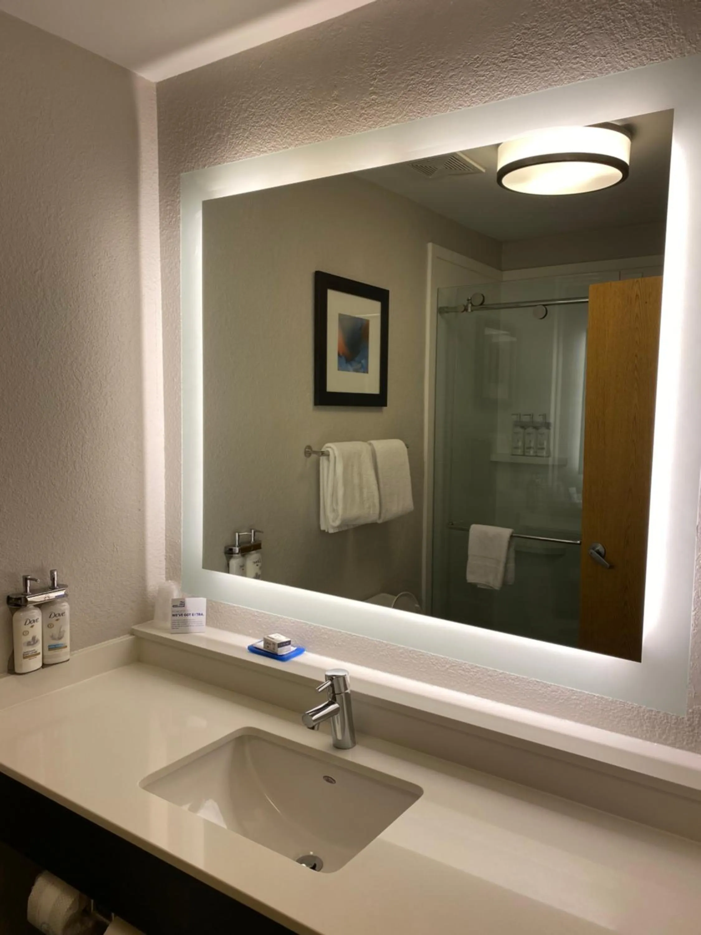 Bathroom in Holiday Inn Express Metropolis by IHG