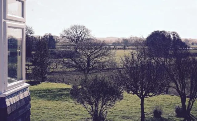 Garden view in The Moorhead Bed & Breakfast