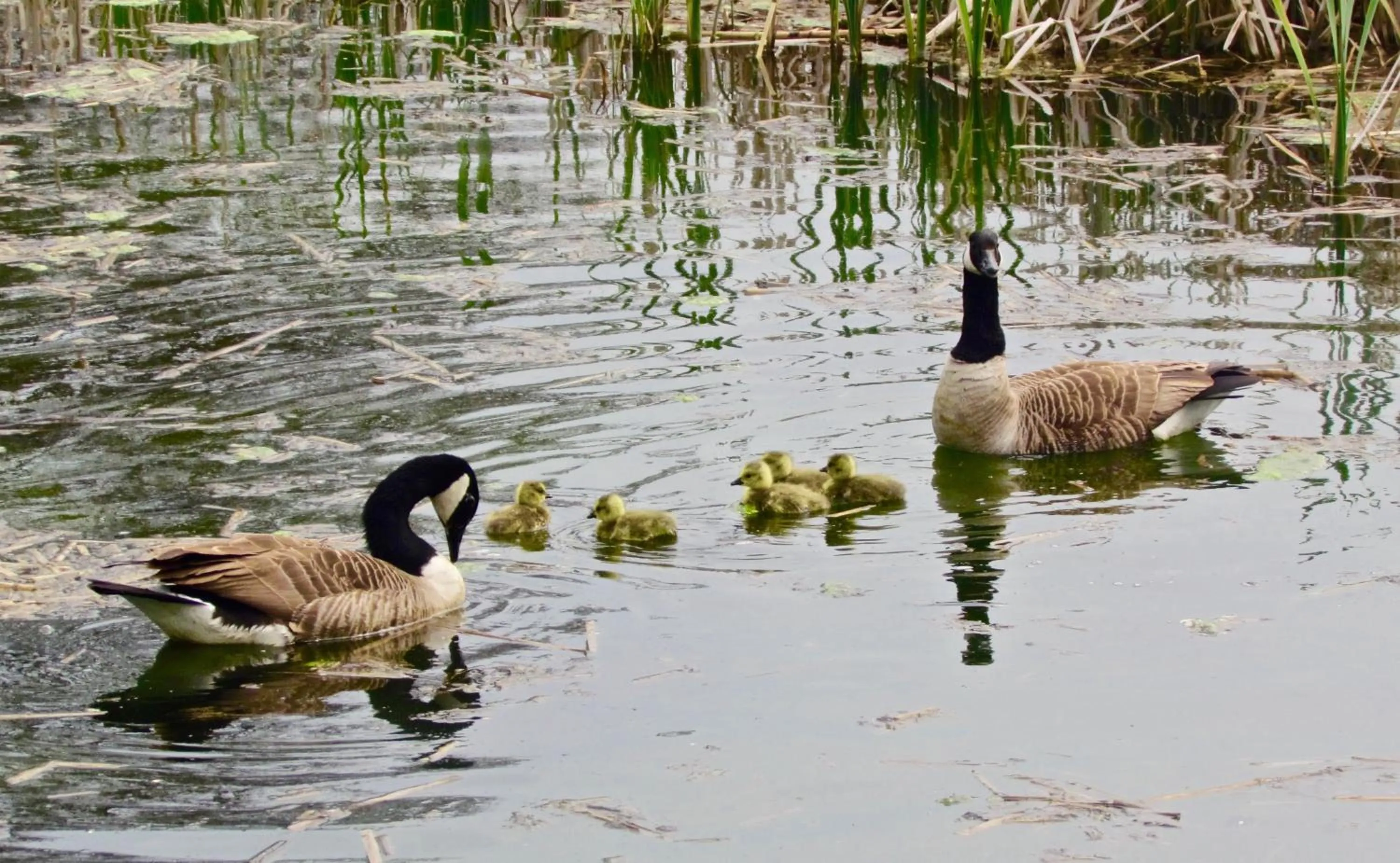 Property building in The Moorhead Bed & Breakfast