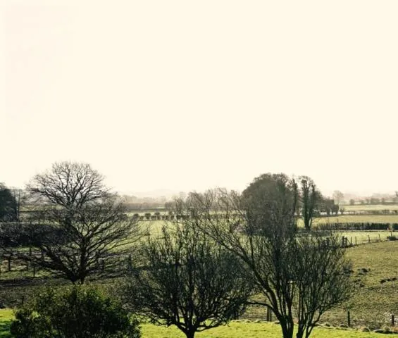 Natural landscape in The Moorhead Bed & Breakfast