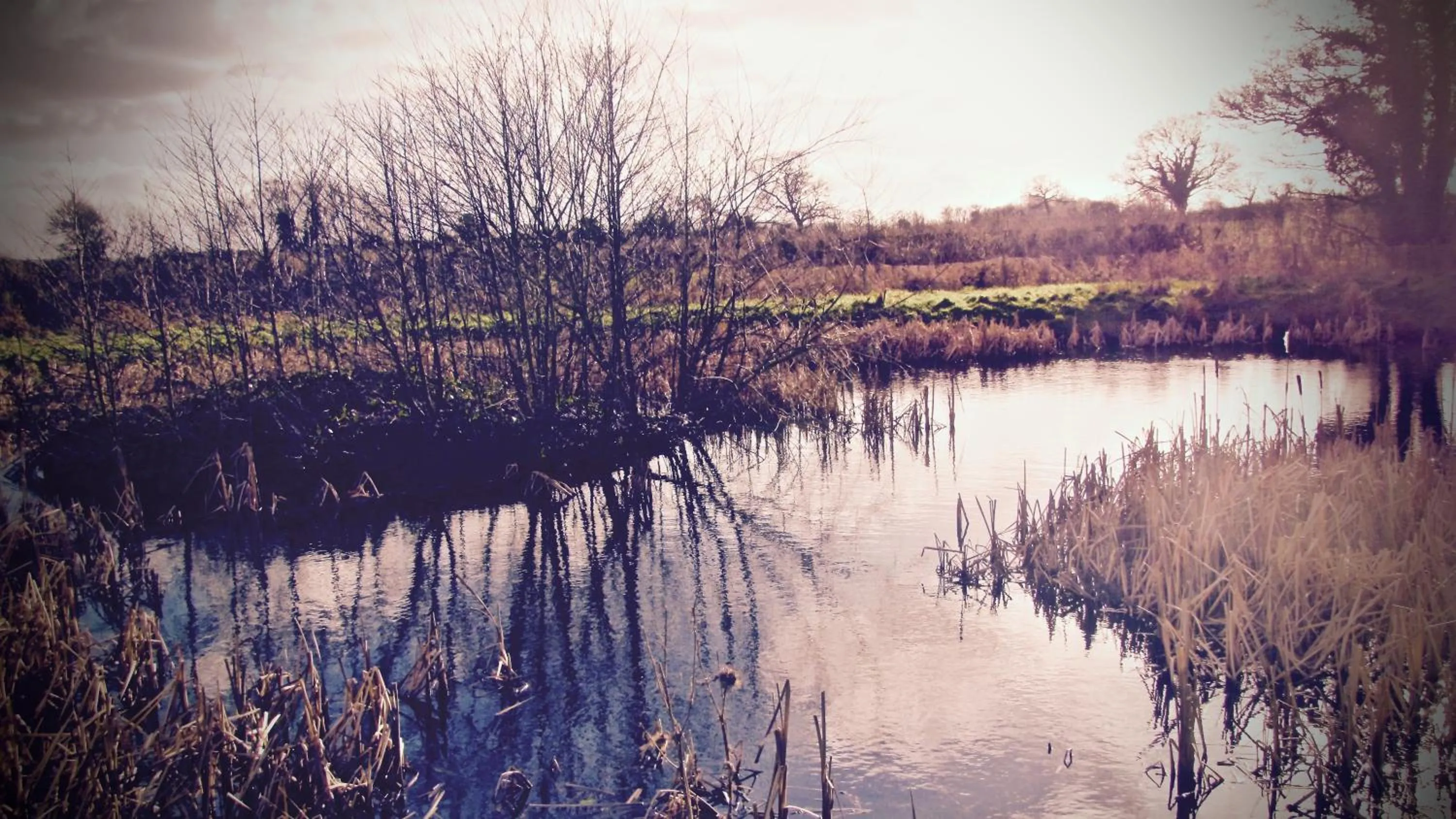 Lake view in The Moorhead Bed & Breakfast