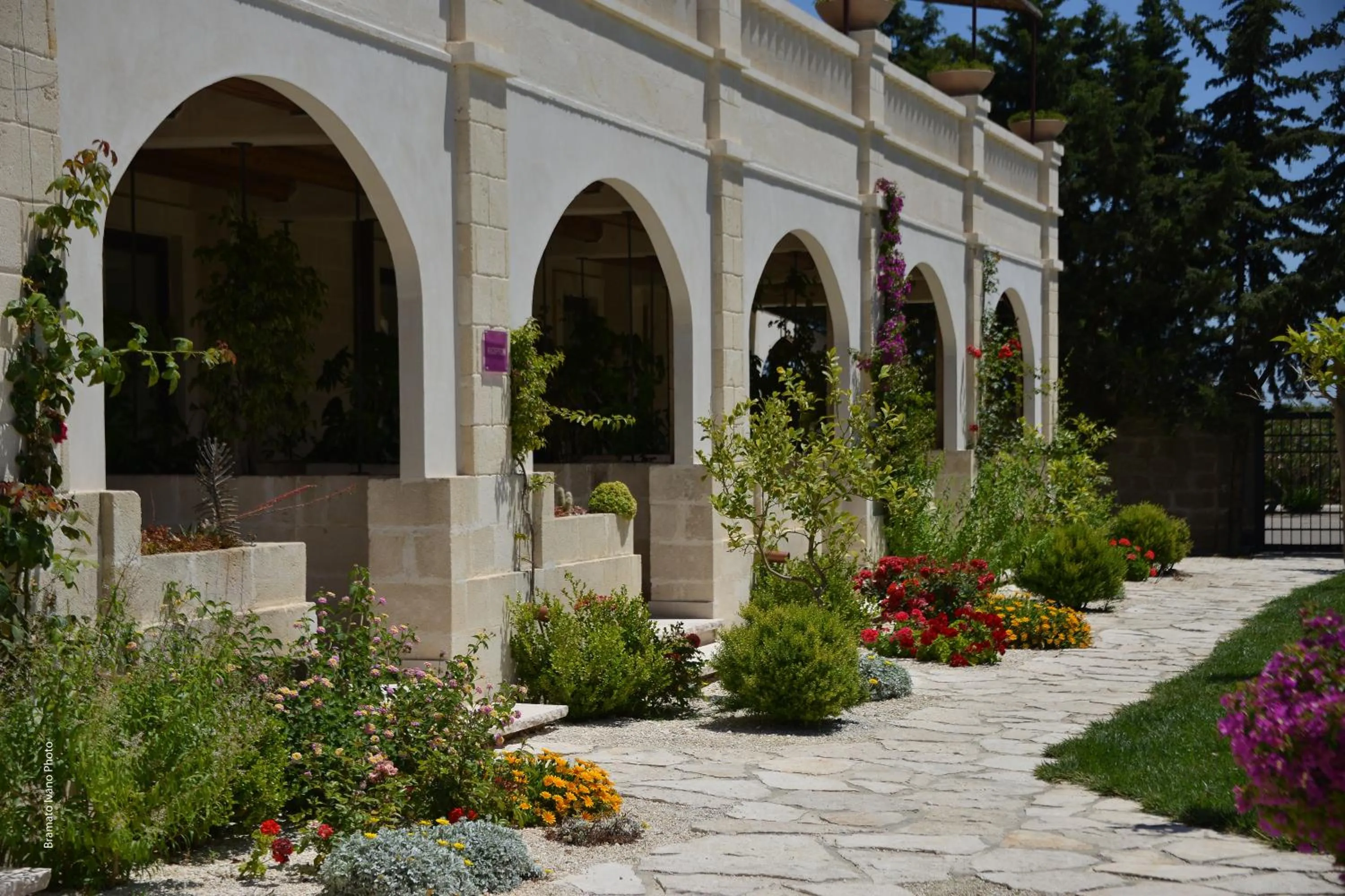 Facade/entrance in Le Scuderie - Castello Monaci