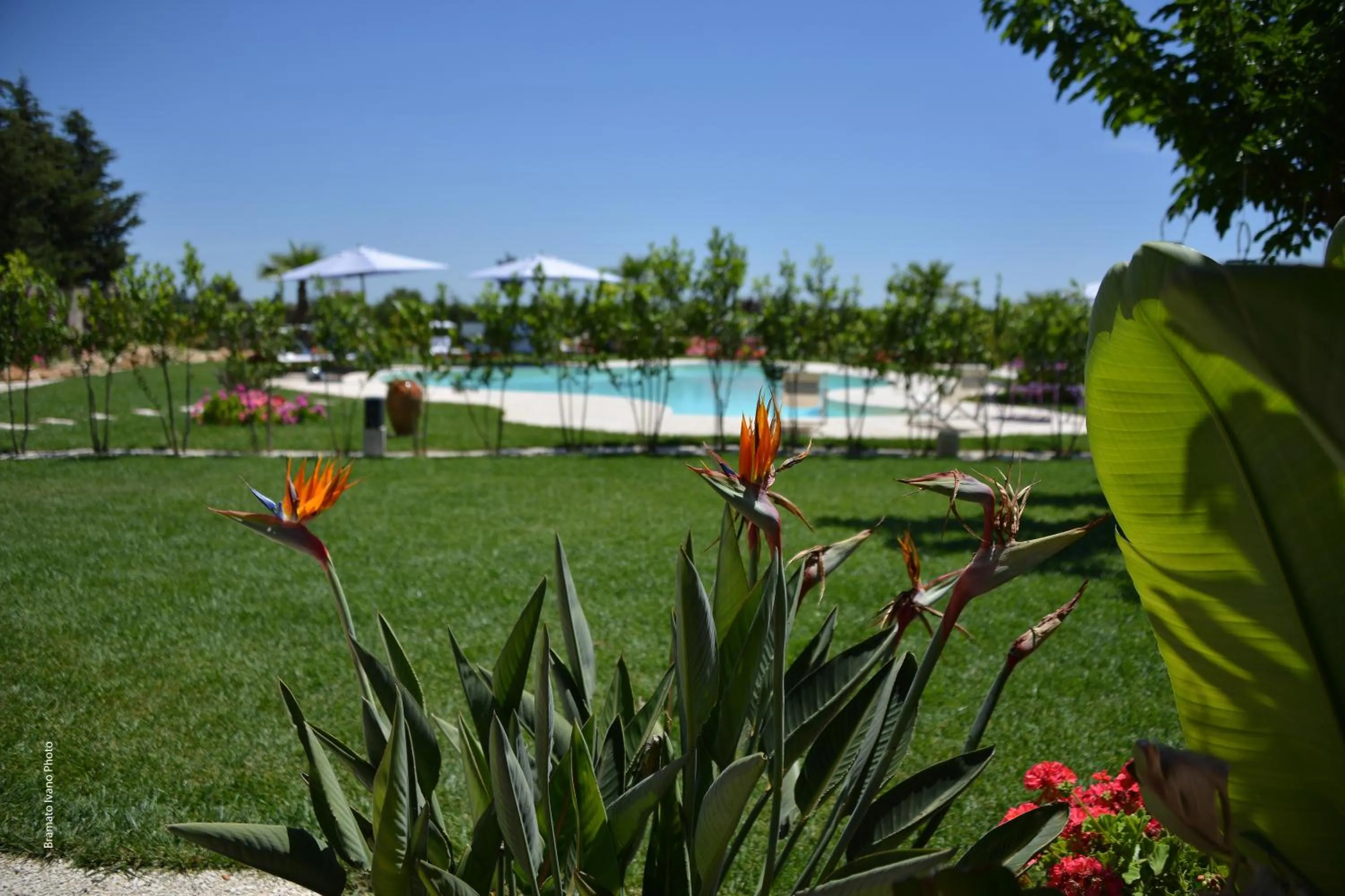 Garden in Le Scuderie - Castello Monaci