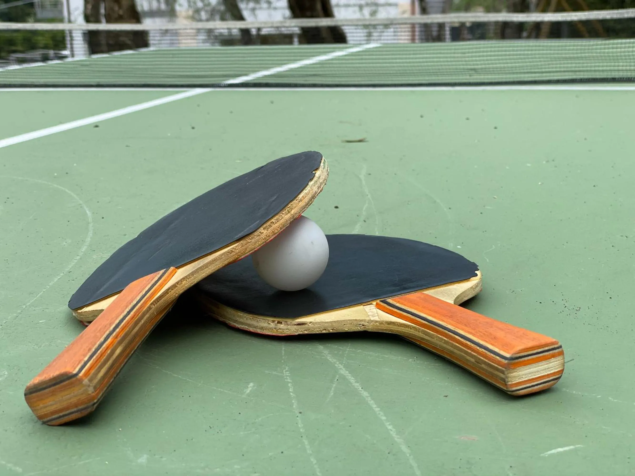 Table tennis in Hotel Stella Alpina