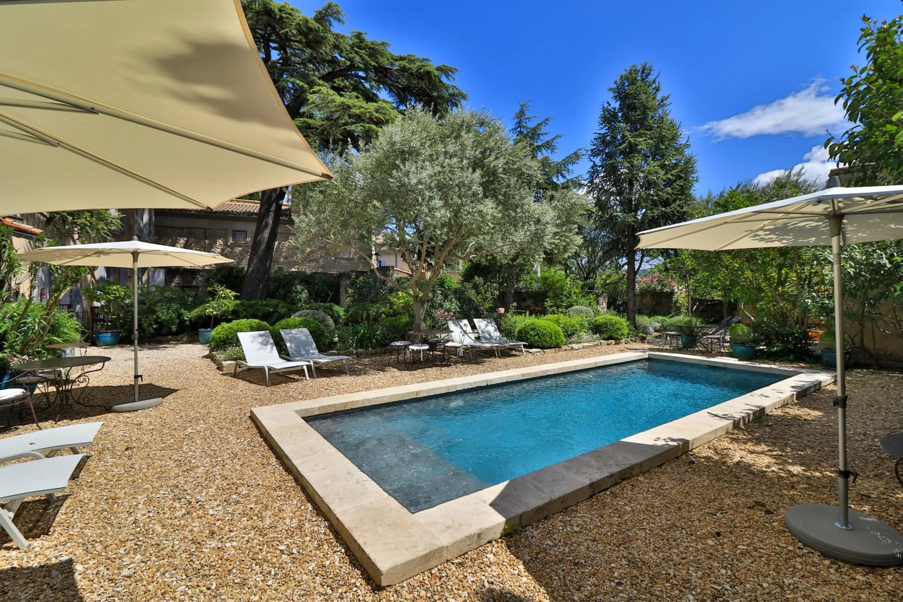 Garden in Le Jardin de Mazan