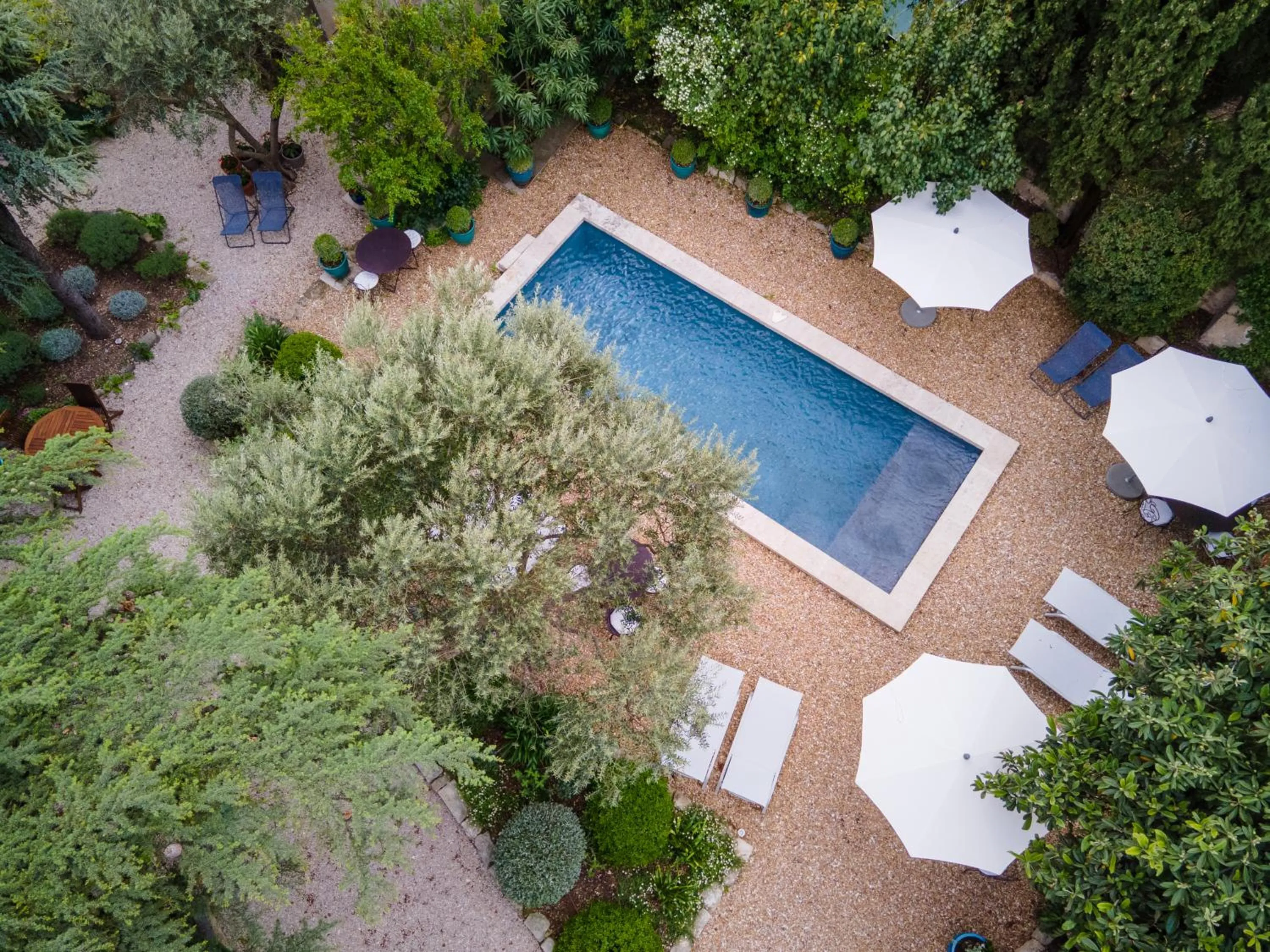 Bird's eye view in Le Jardin de Mazan