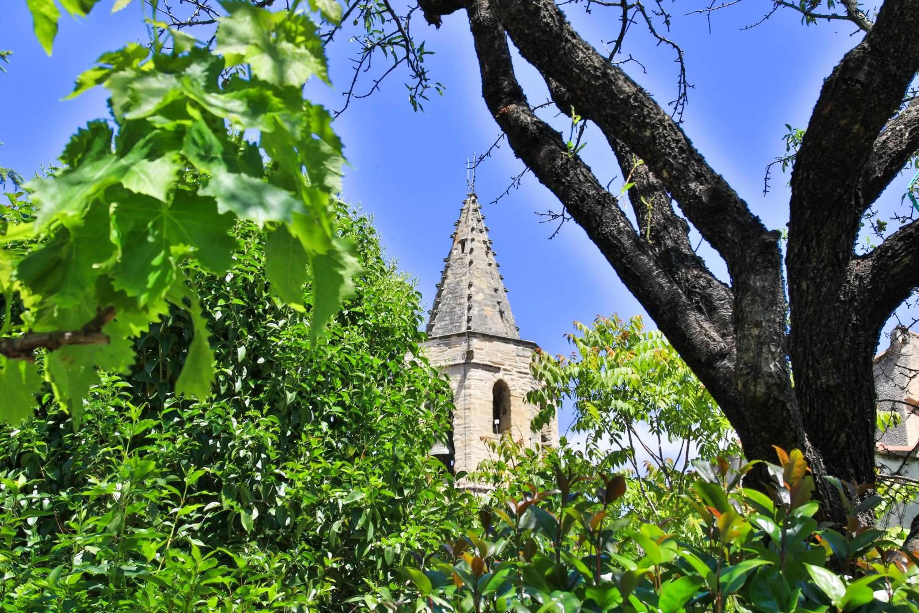 Landmark view in Le Jardin de Mazan