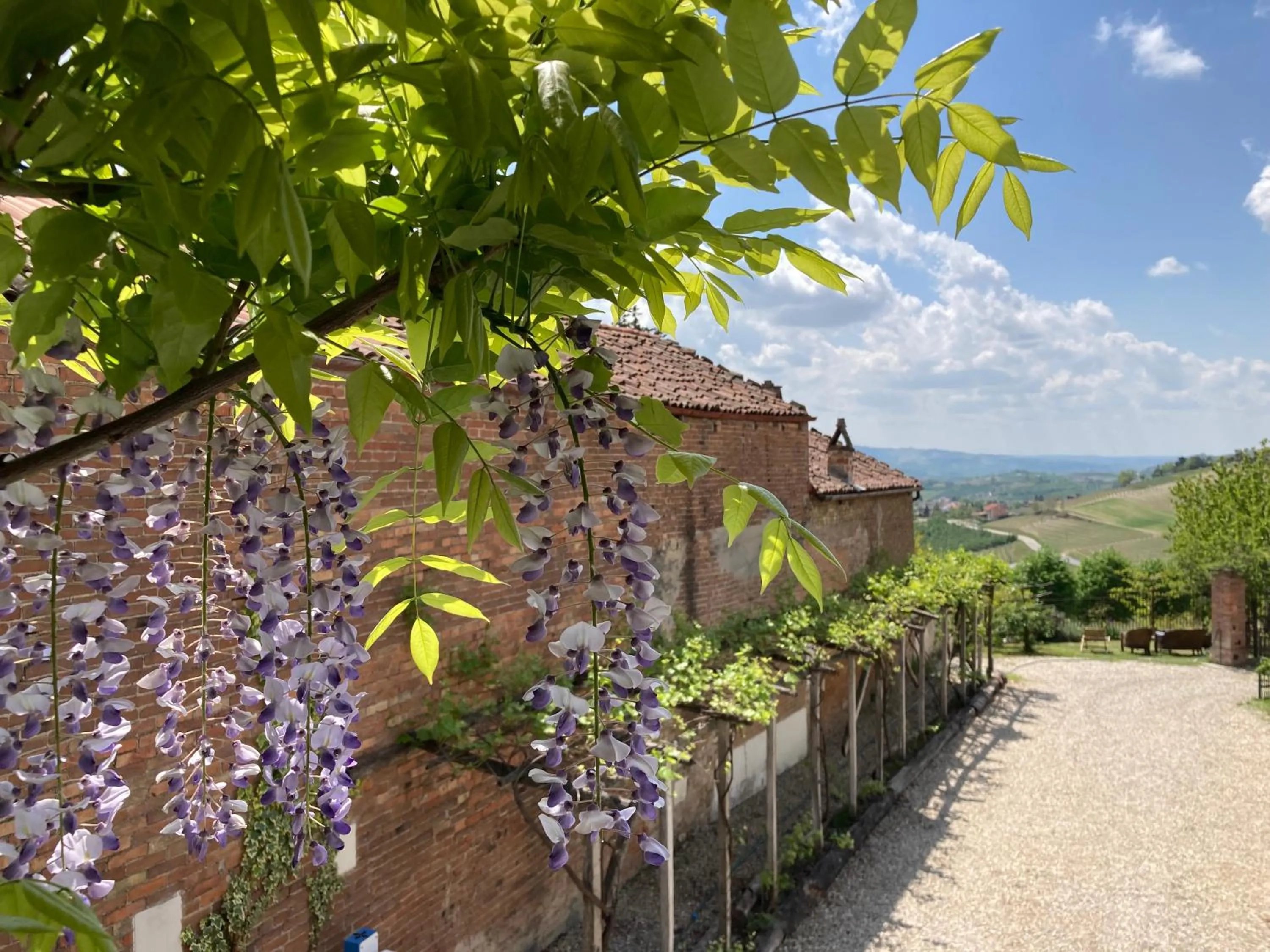 View (from property/room) in Greeneria
