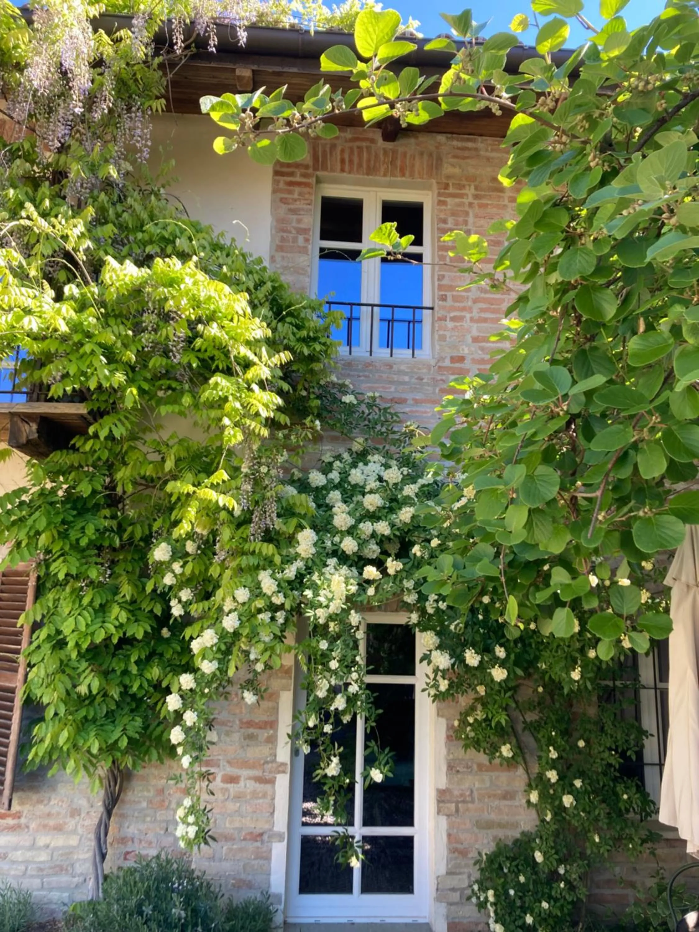 Property building in Greeneria