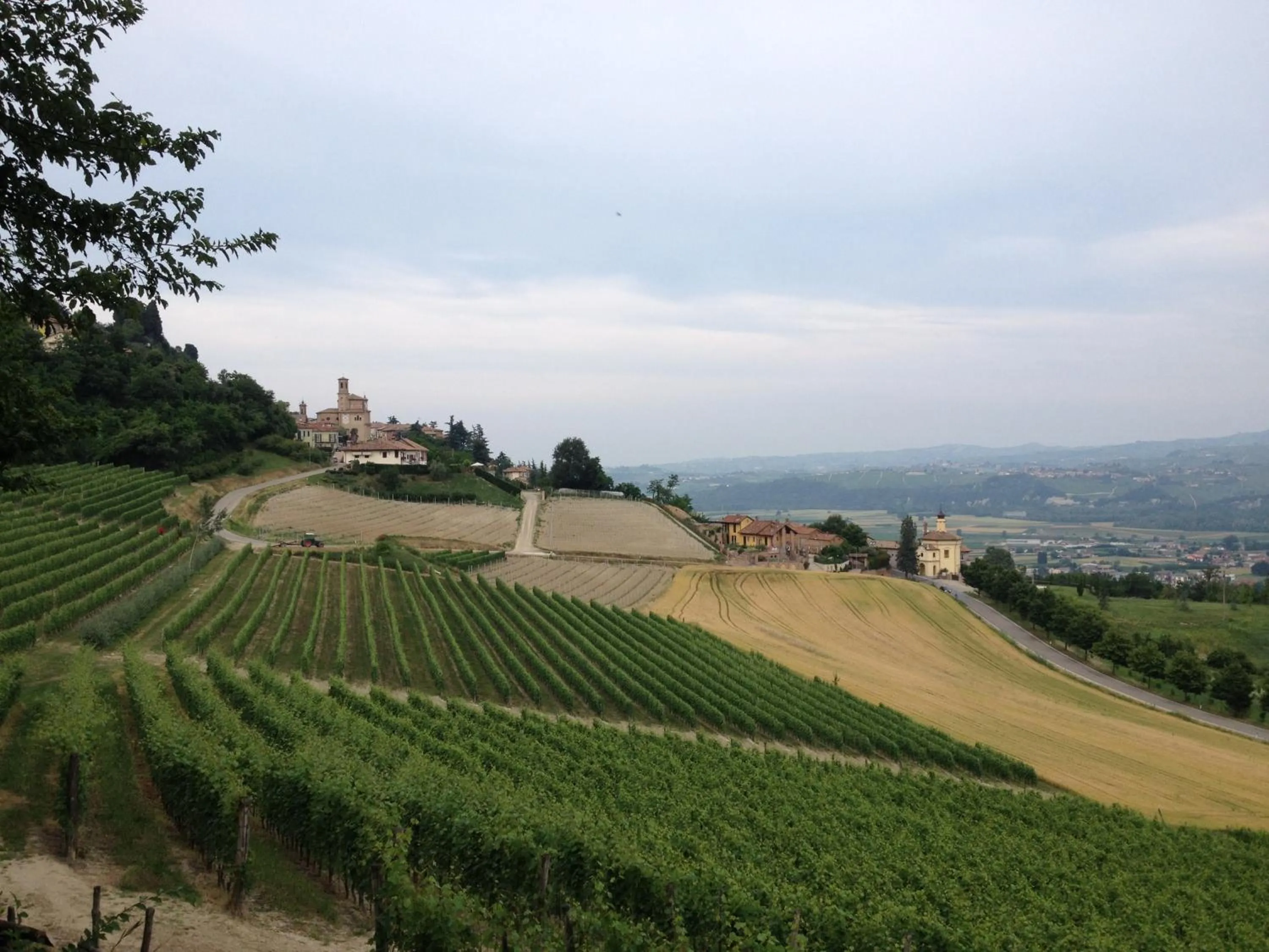 Neighbourhood in Greeneria