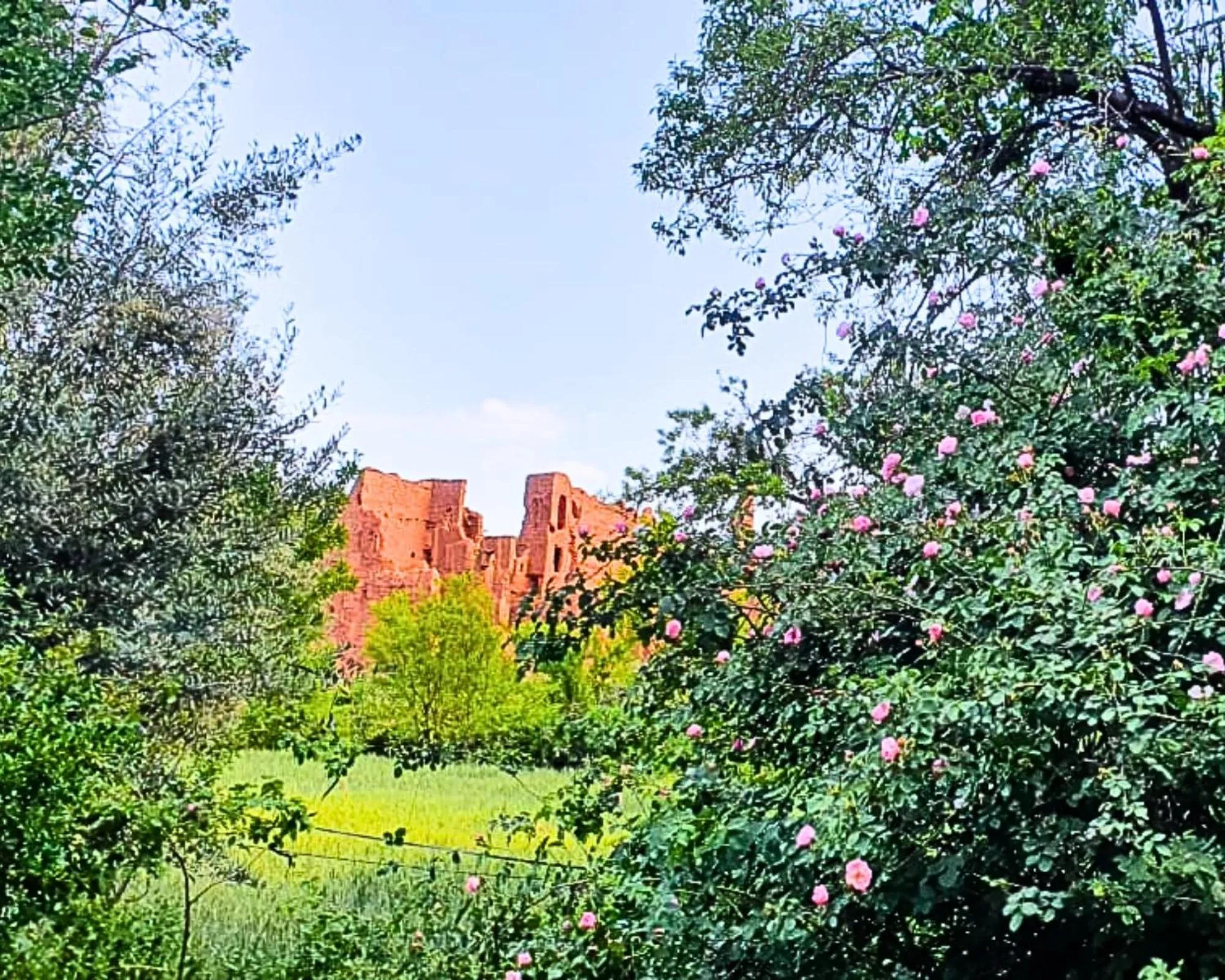 Activities in Riad Tazawa