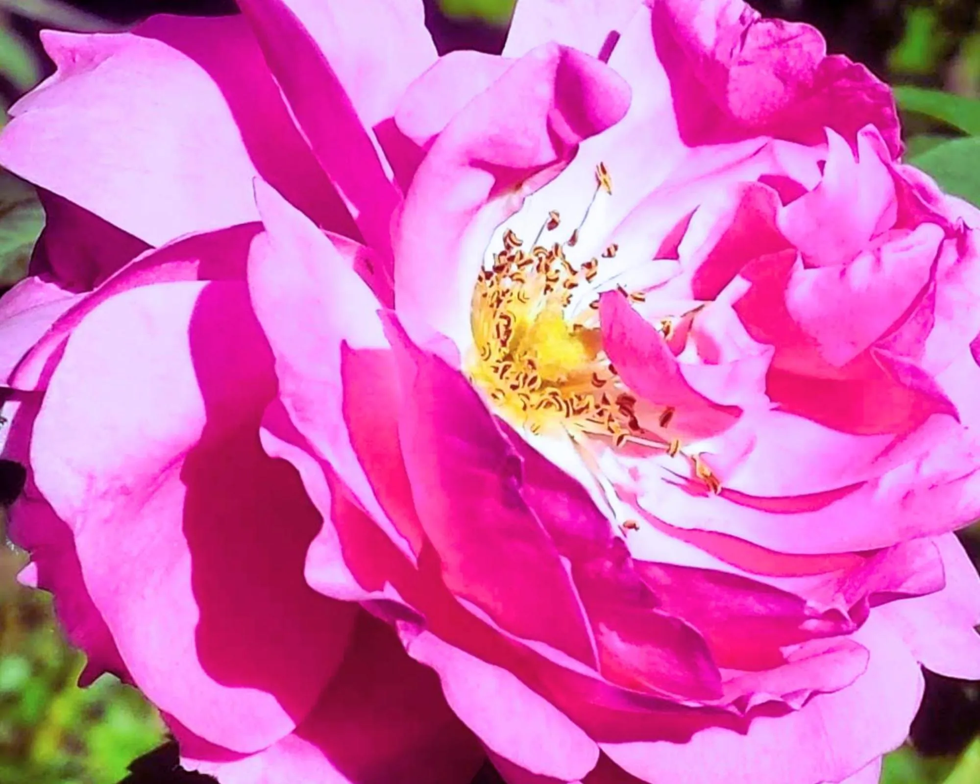 Activities in Riad Tazawa