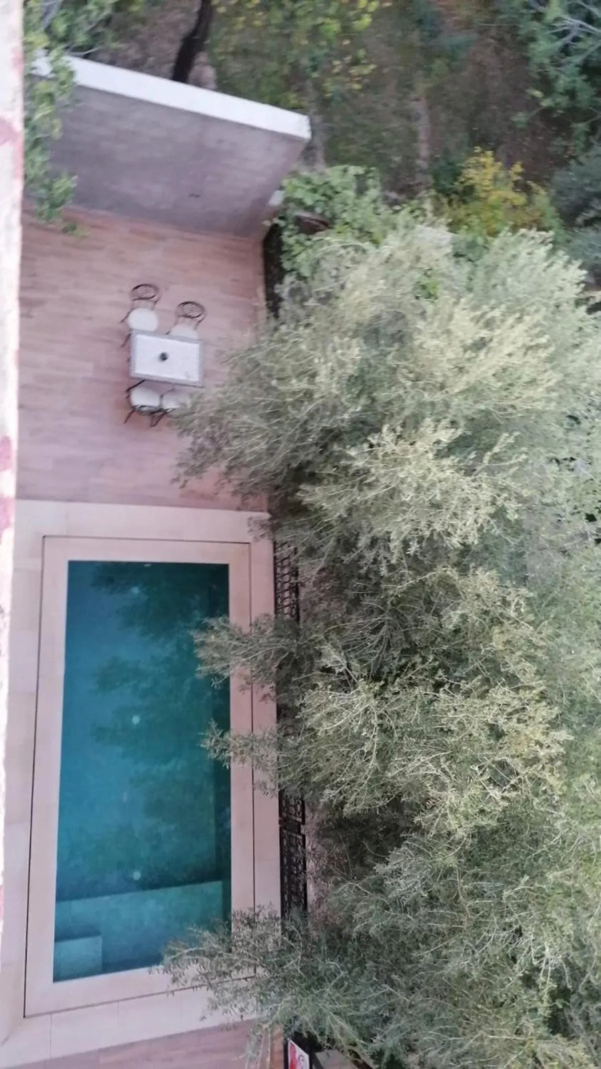 Swimming pool in Riad Tazawa