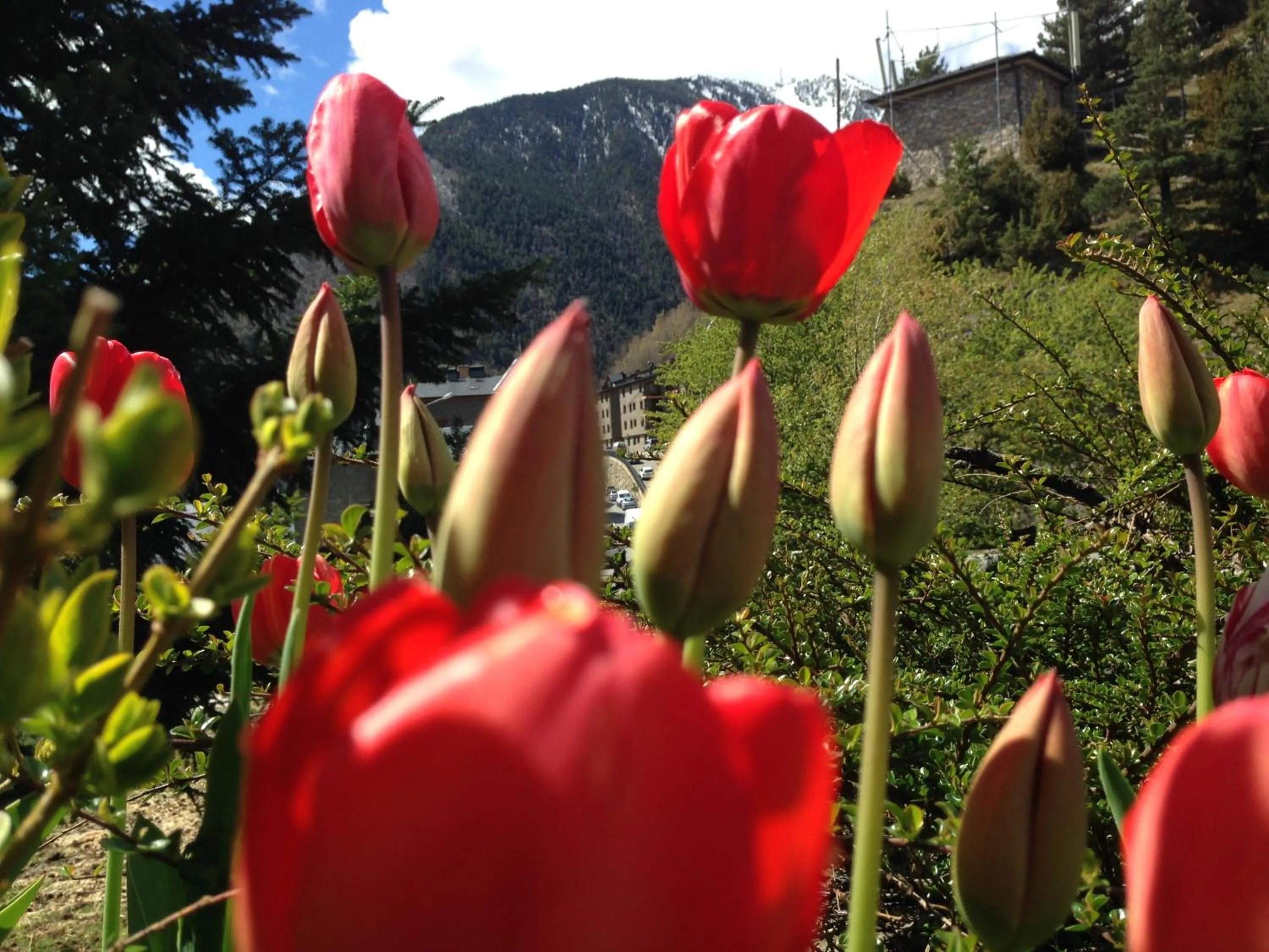 Garden in Hotel La Burna Panoràmic