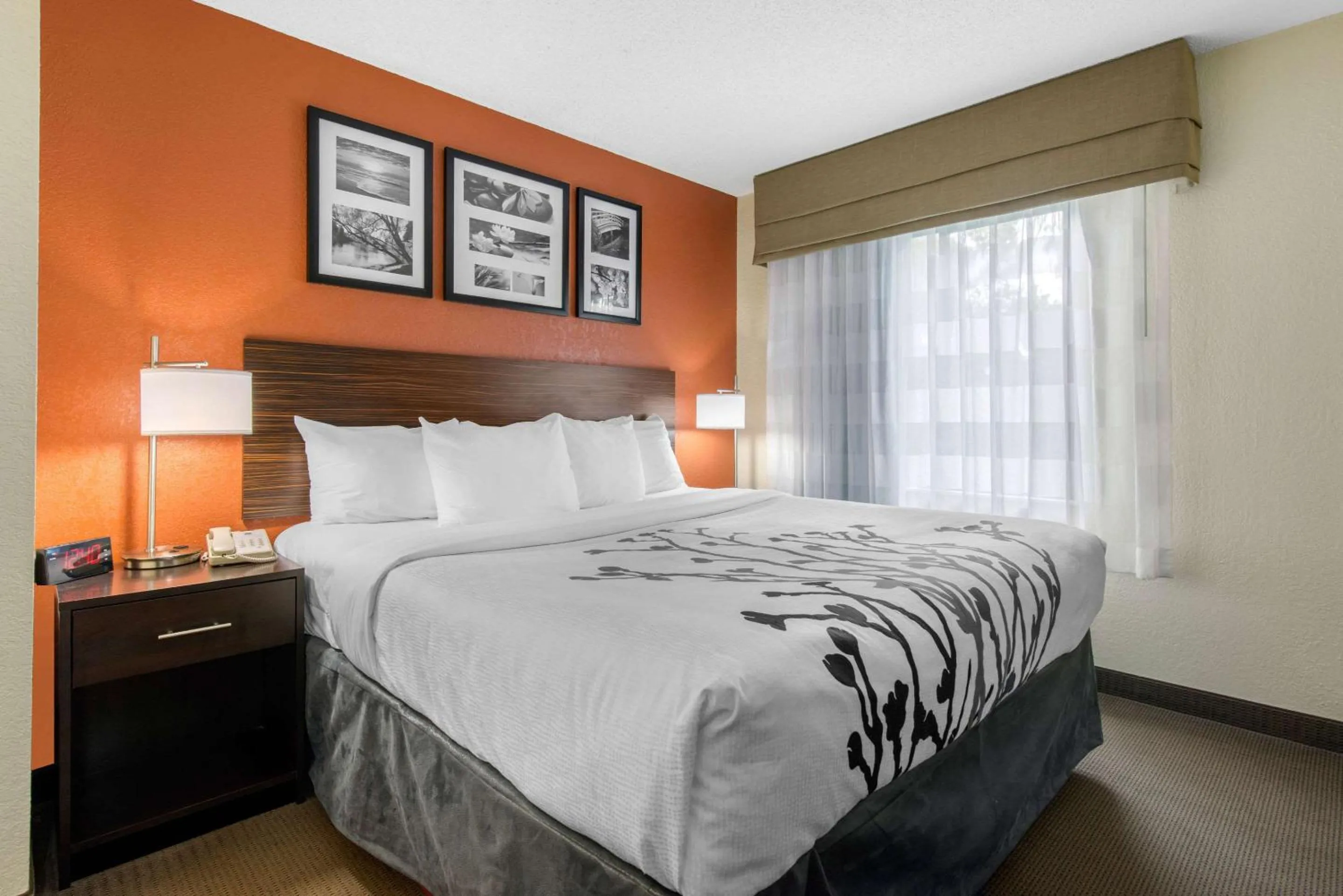 Bedroom, Bed in Sleep Inn Sarasota North