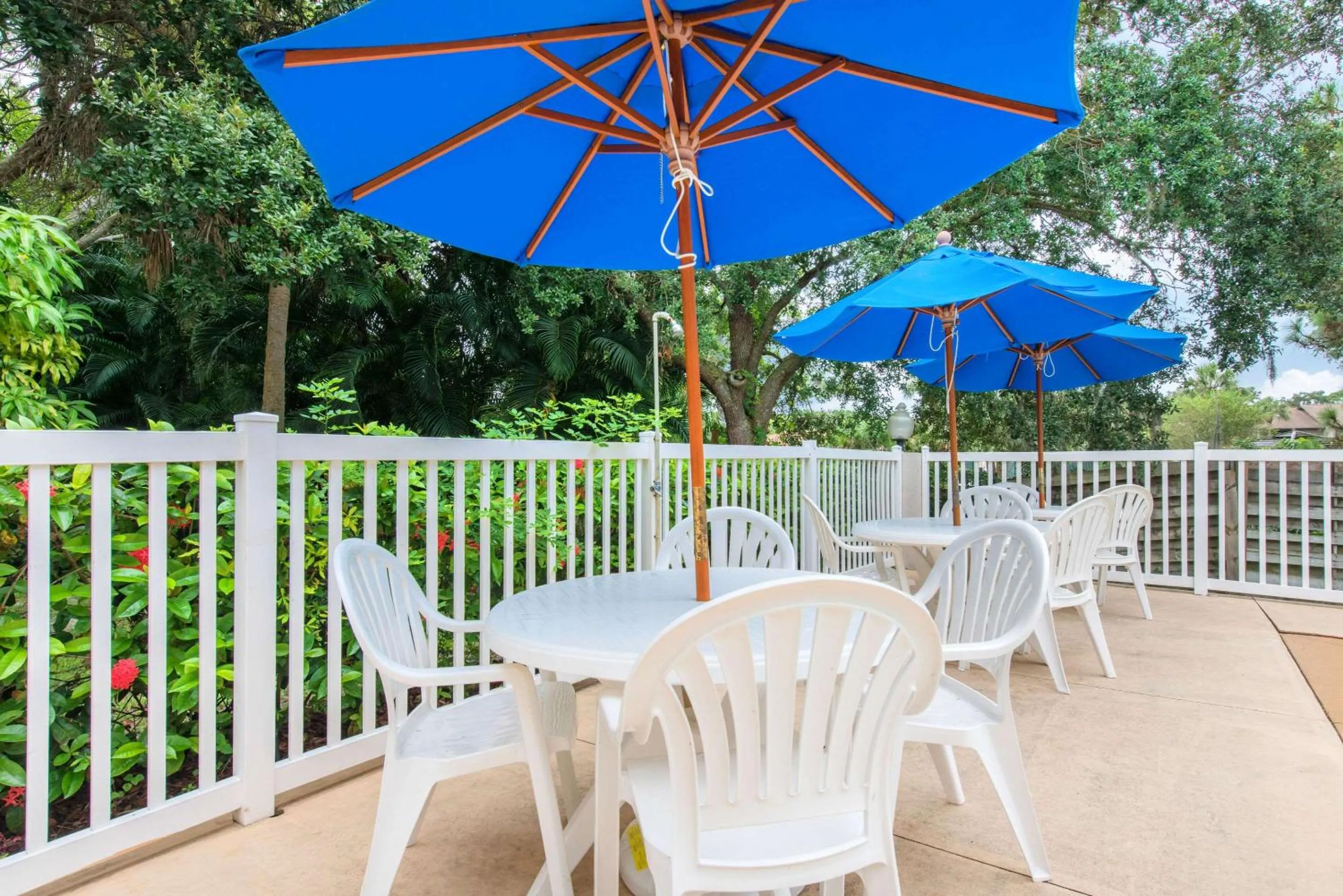 Swimming pool in Sleep Inn Sarasota North