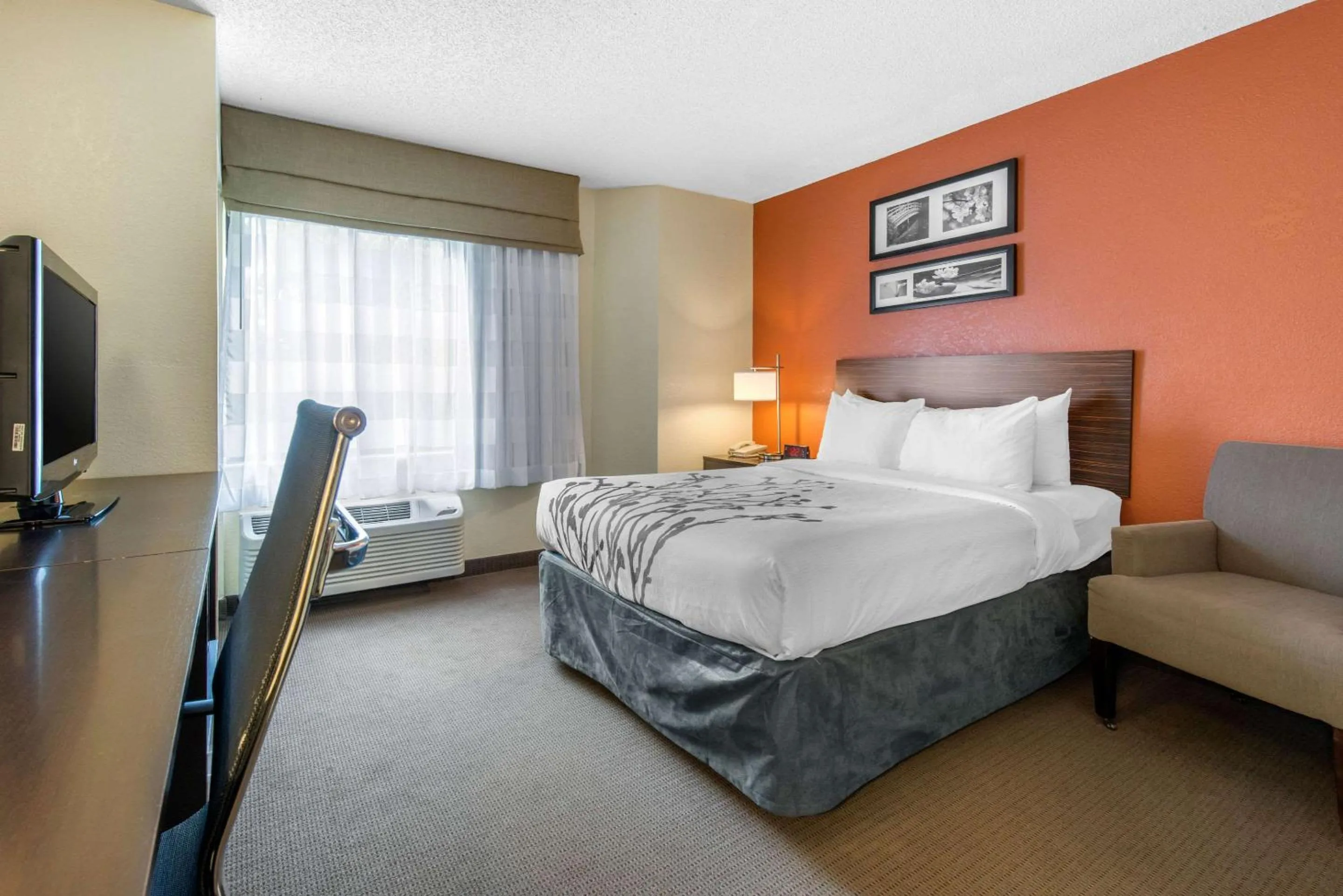 Bedroom, Bed in Sleep Inn Sarasota North