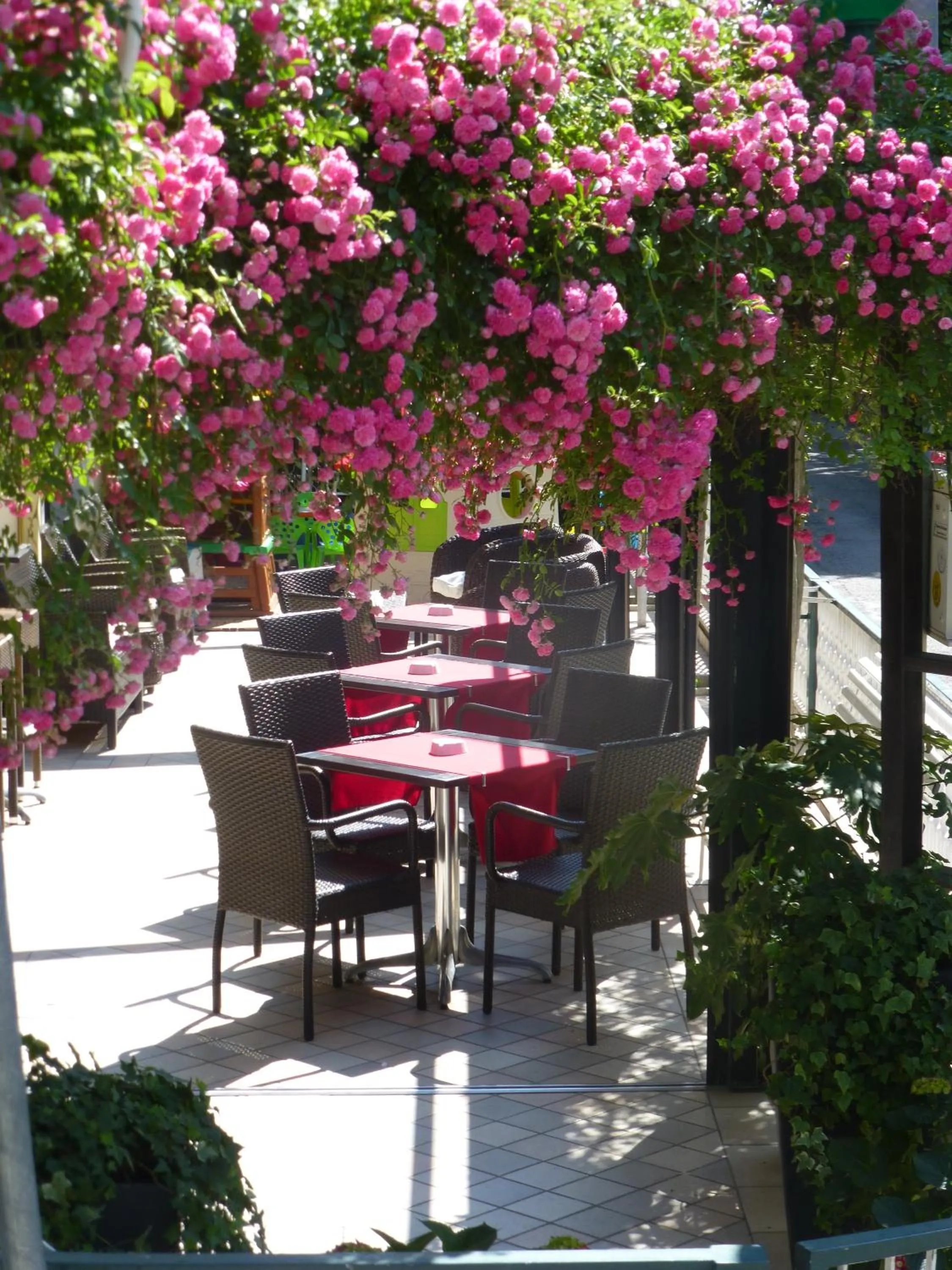 Restaurant/places to eat in Albergo Vittoria