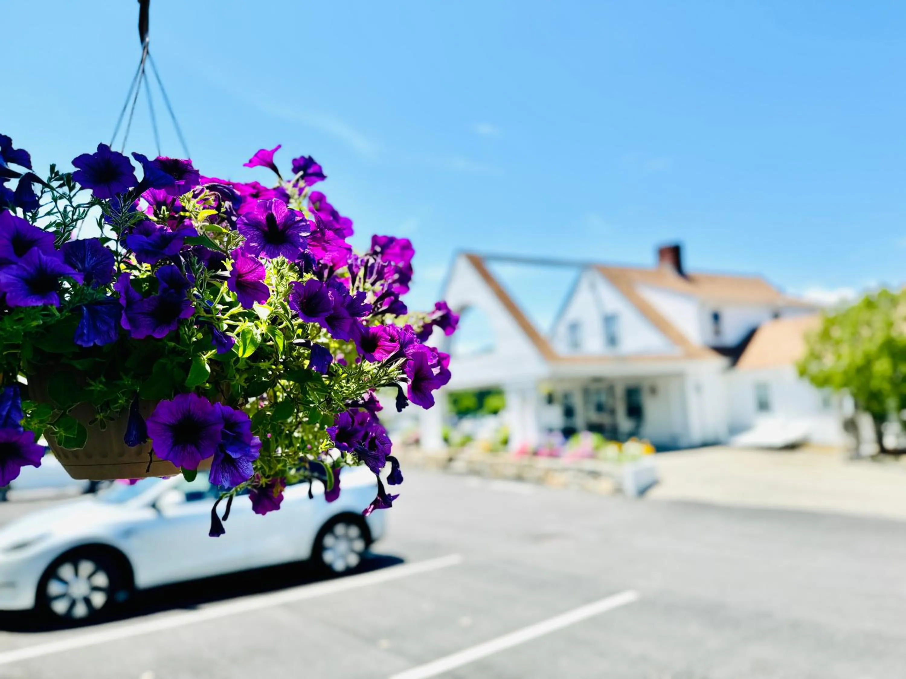 Property building in Blue Spruce