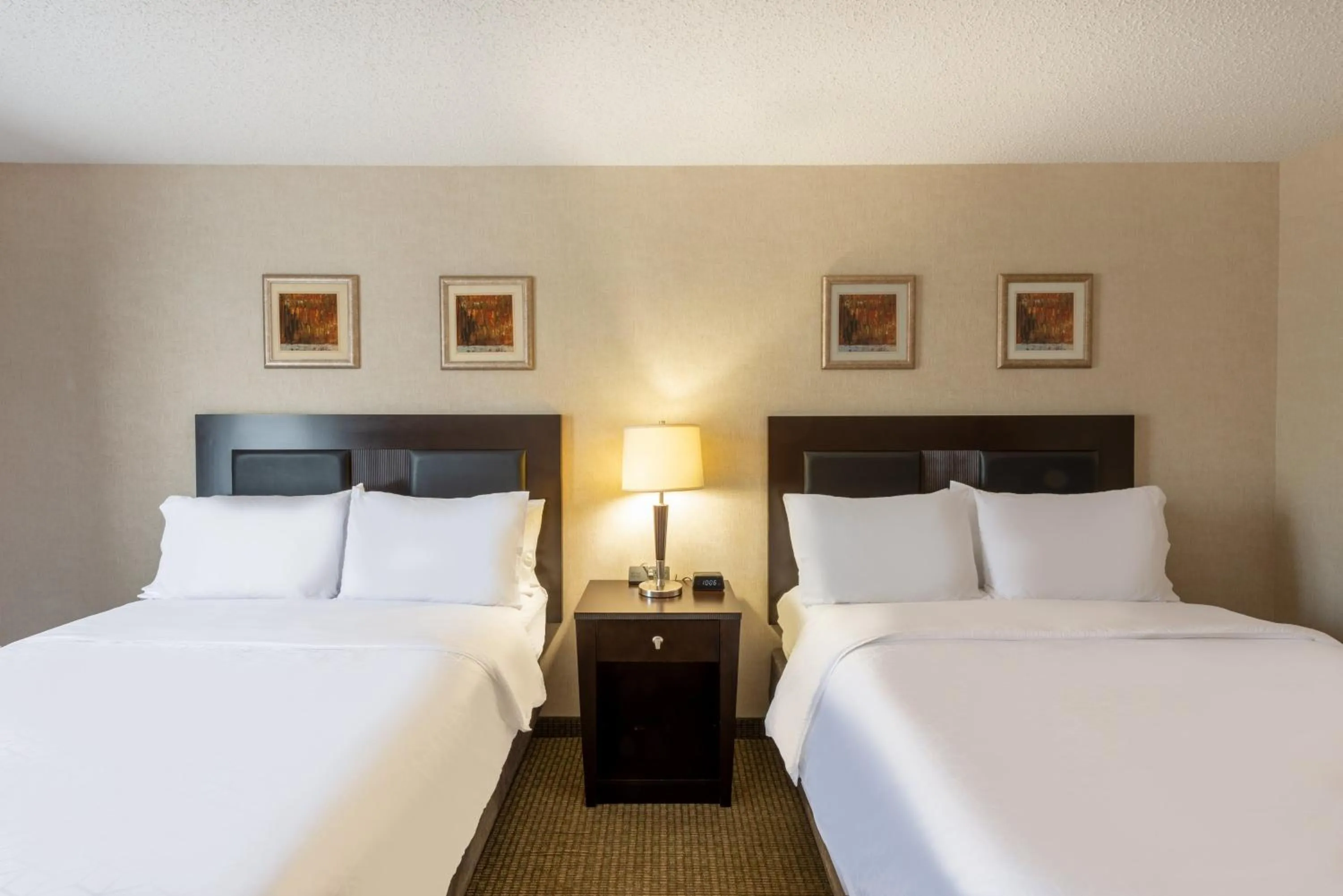 Photo of the whole room, Bed in Holiday Inn Express Hotel & Suites Erie an IHG Hotel