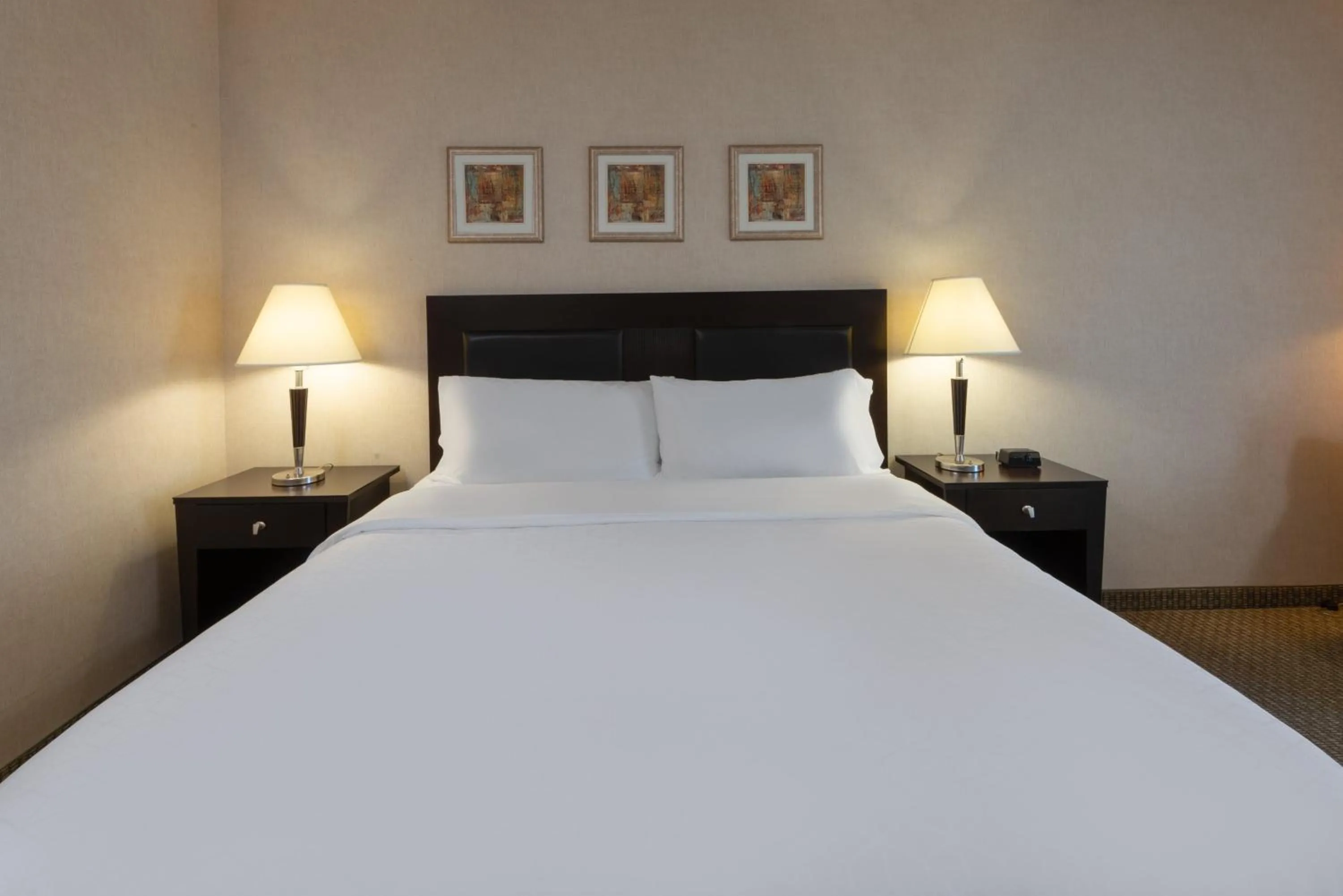 Photo of the whole room, Bed in Holiday Inn Express Hotel & Suites Erie an IHG Hotel