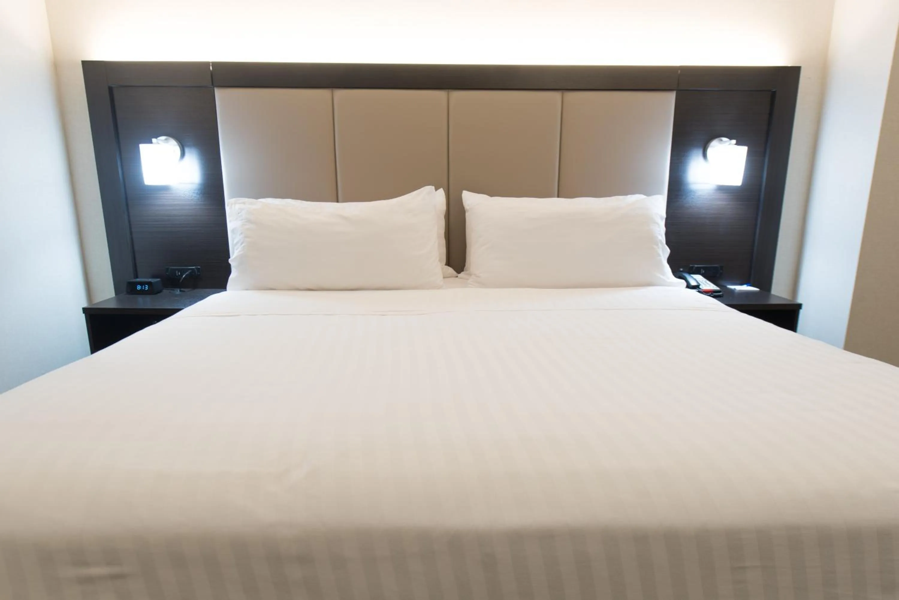 Photo of the whole room, Bed in Holiday Inn Express Hotel & Suites Erie an IHG Hotel