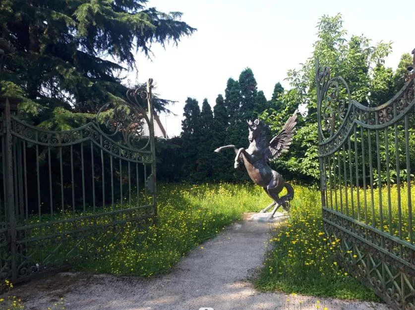 Garden in Mediterran Hotel Juwel