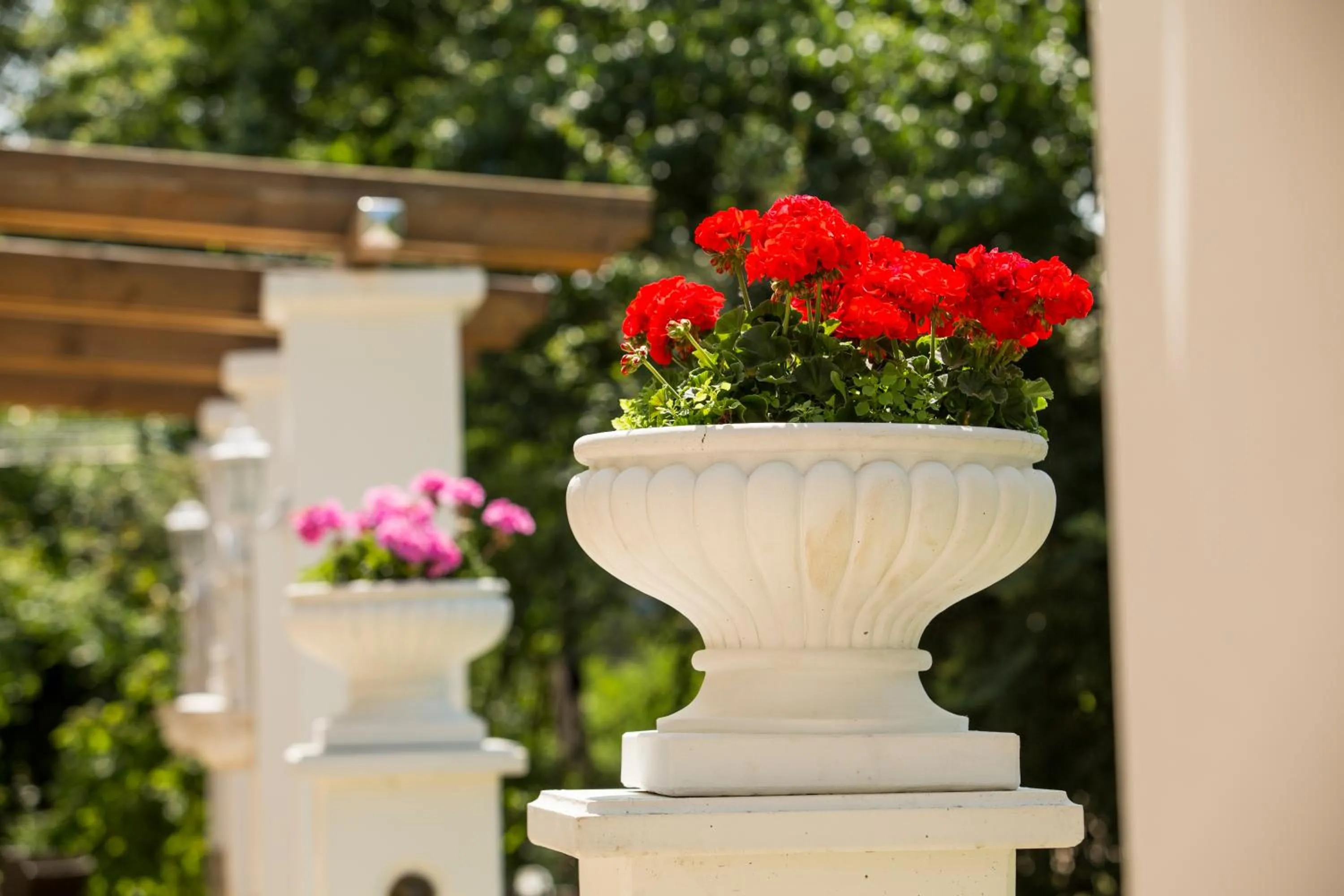Balcony/Terrace in Mediterran Hotel Juwel