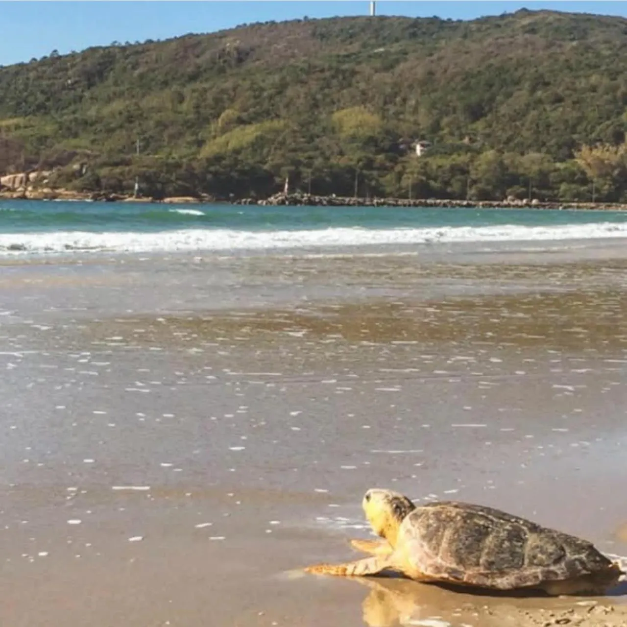 Beach in Pousada Oliveira