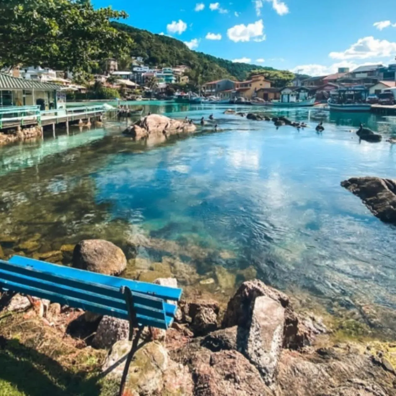 Natural landscape in Pousada Oliveira