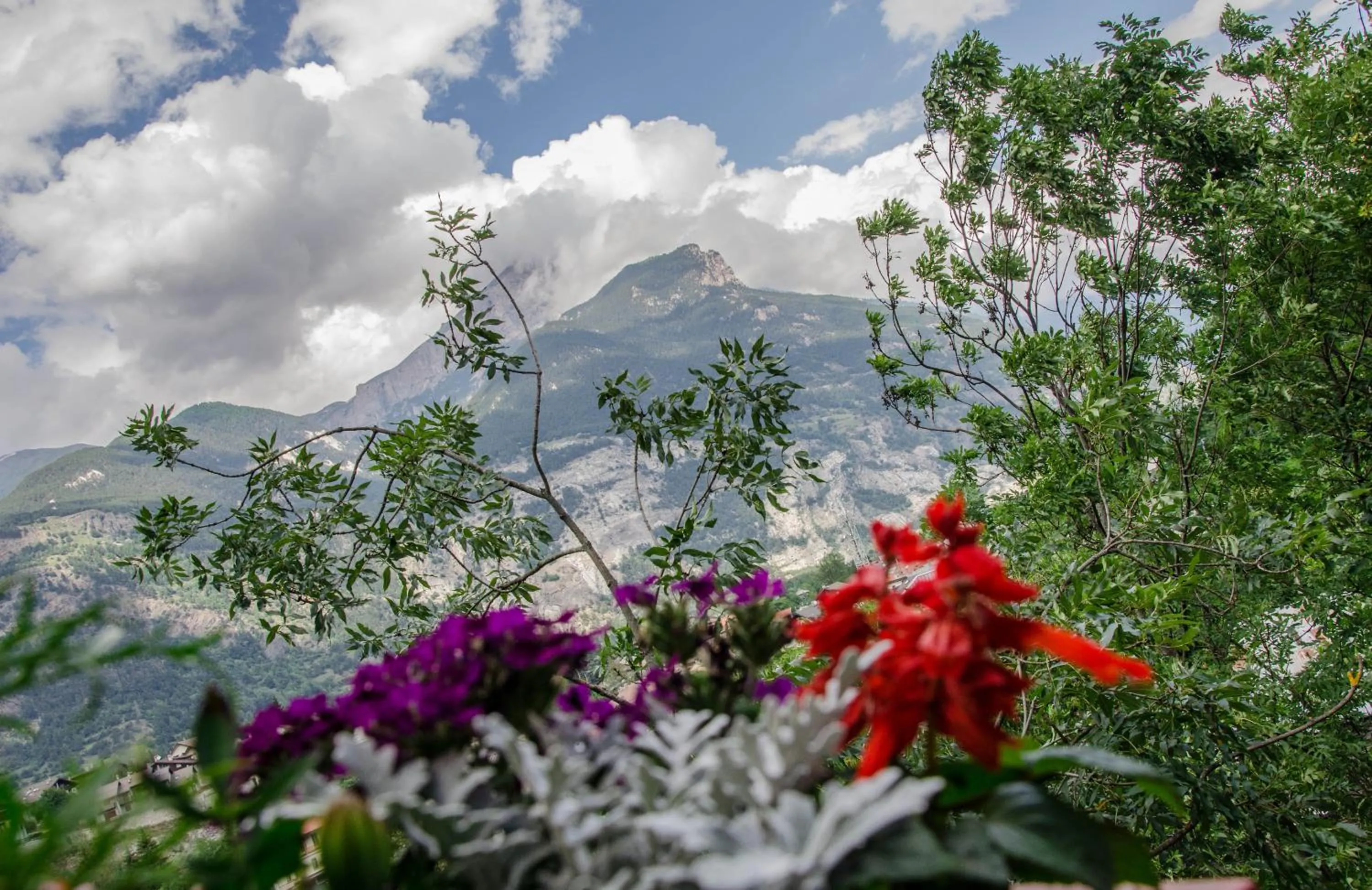 Spring in Hotel Chez Toi