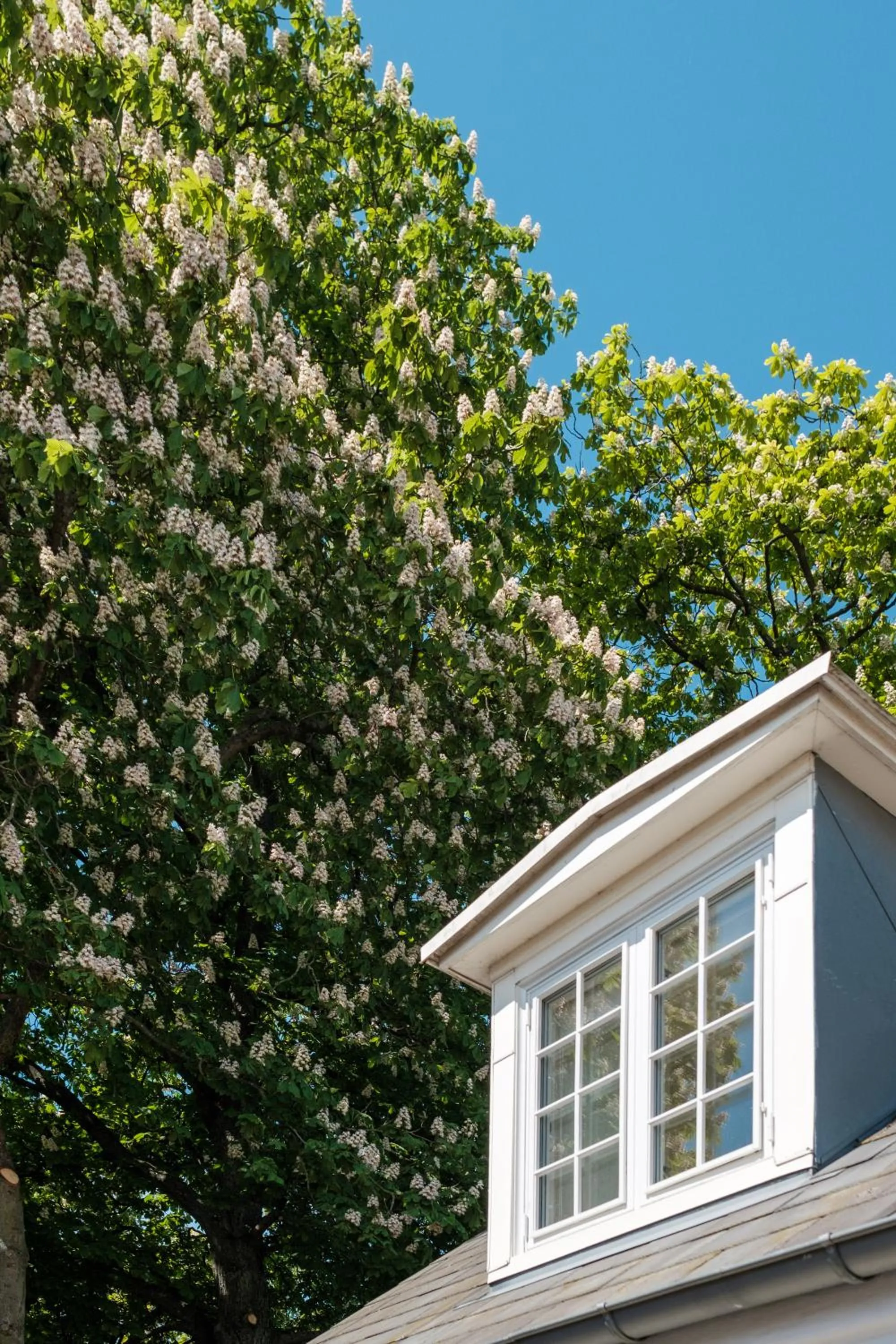 Property building in Hotel Knudsens Gaard