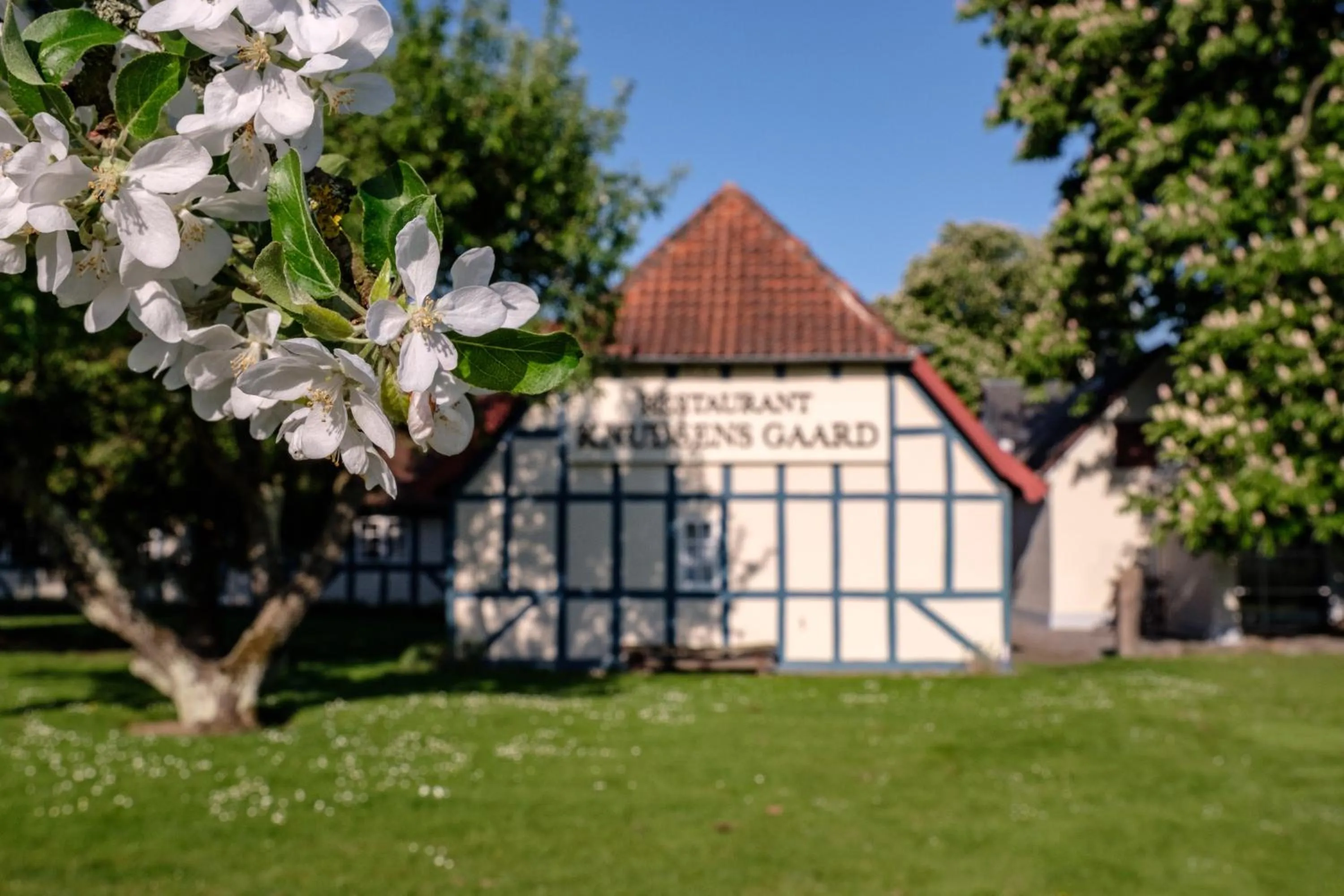 Garden in Hotel Knudsens Gaard