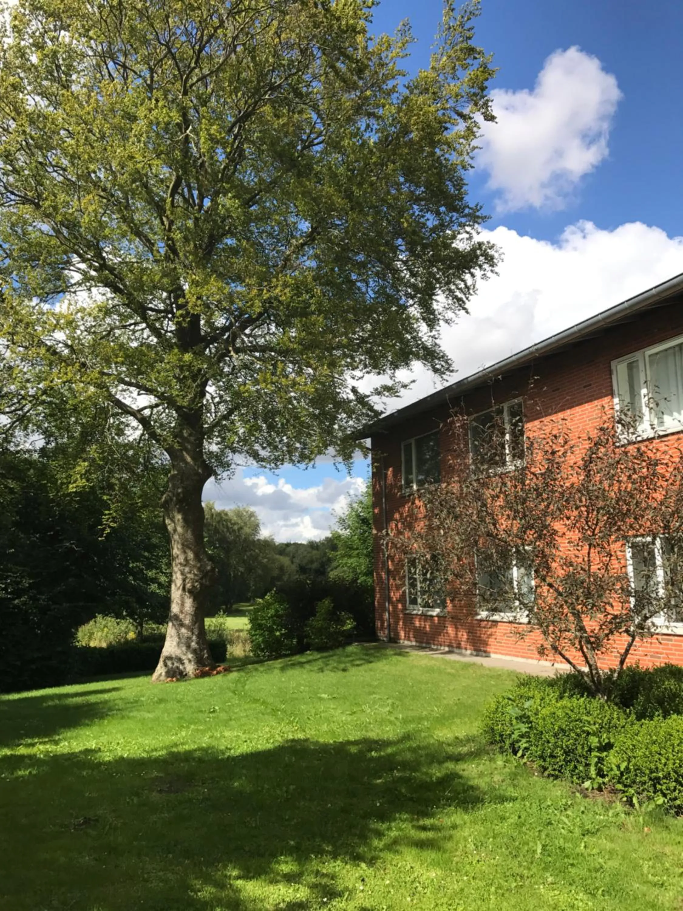 Garden in Hotel Jernbanegade