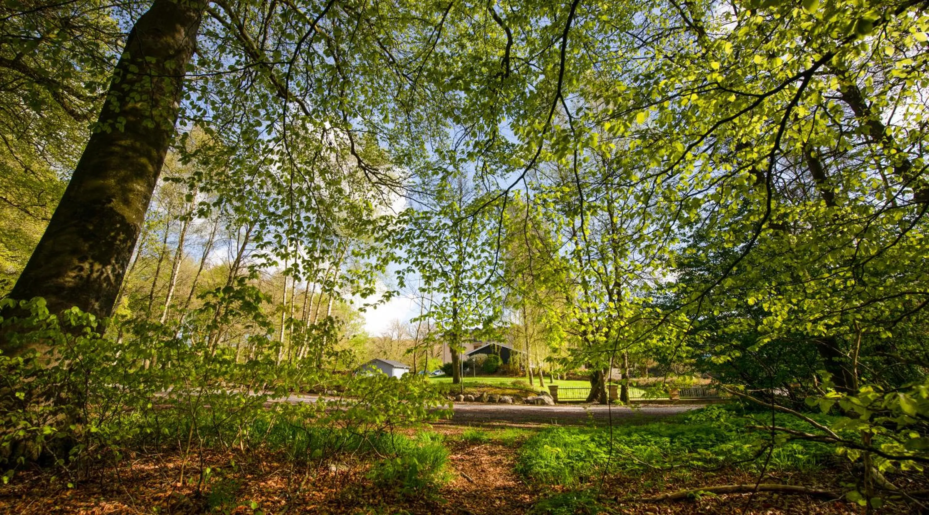 Natural landscape in Hotel Amerika
