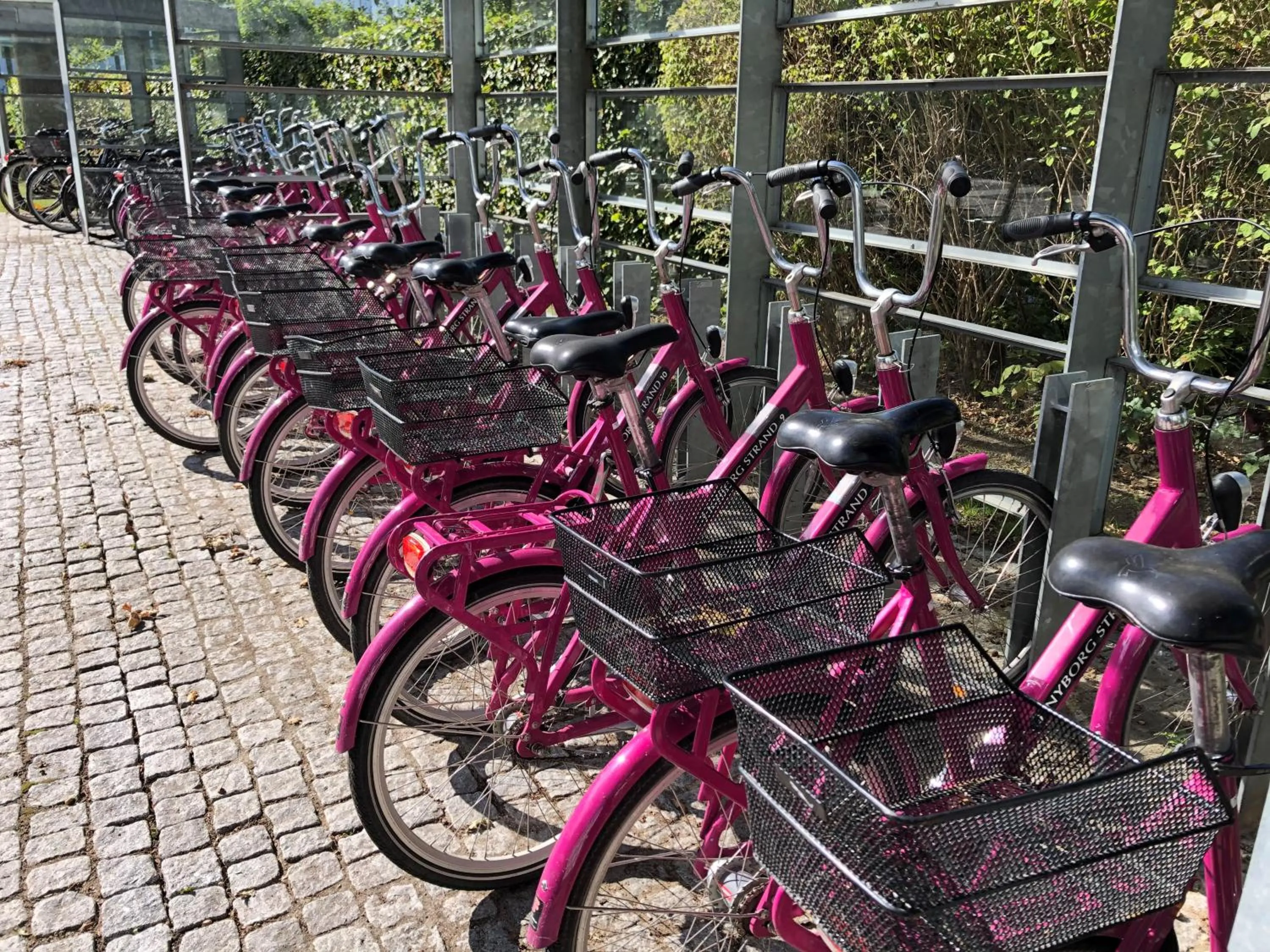 Cycling in Nyborg Strand Hotel & Konference