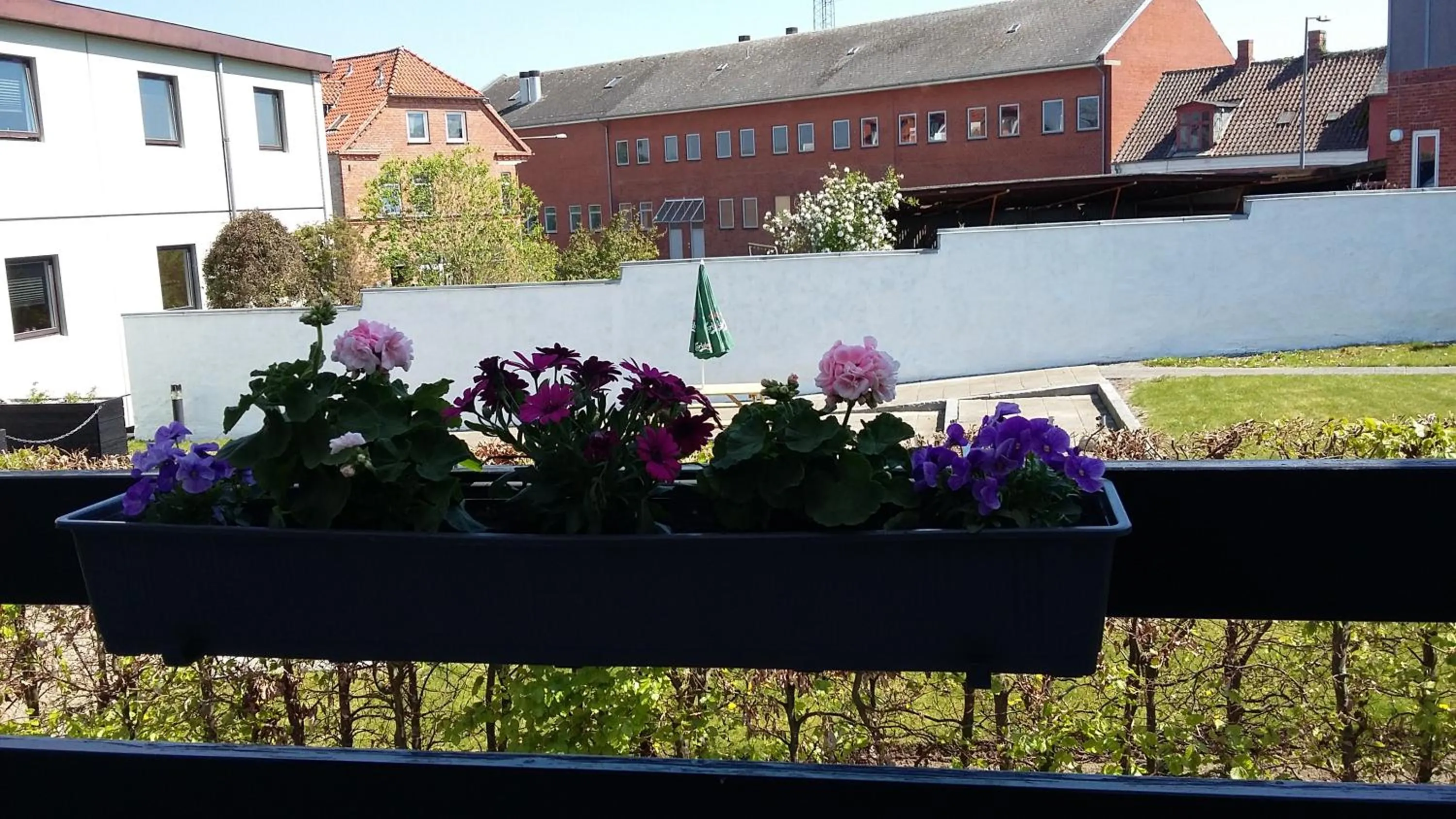 Day in Hotel Kong Valdemar