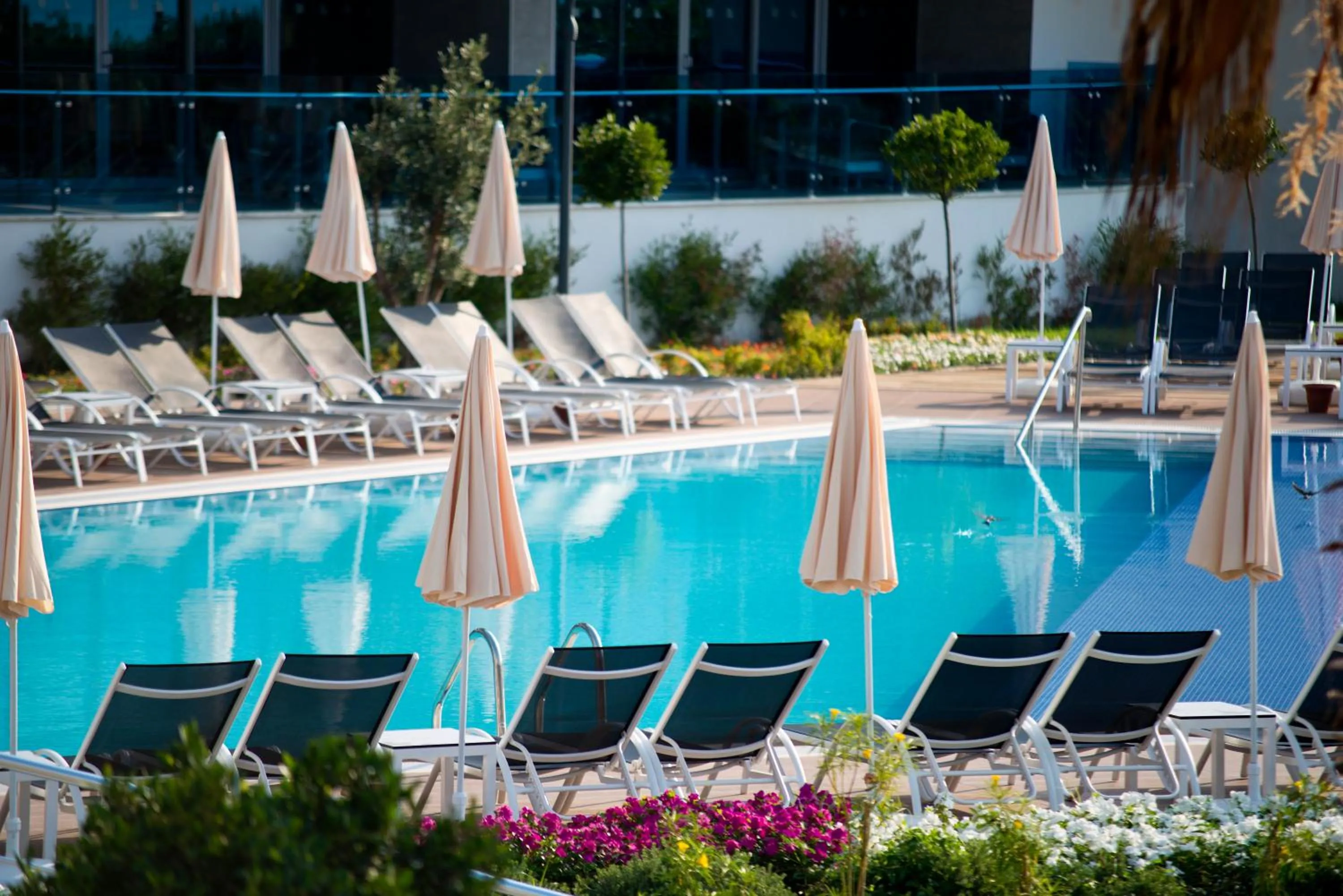 Swimming pool in Selene Beach & Spa Hotel - Adult Only - Ultra All Inclusive