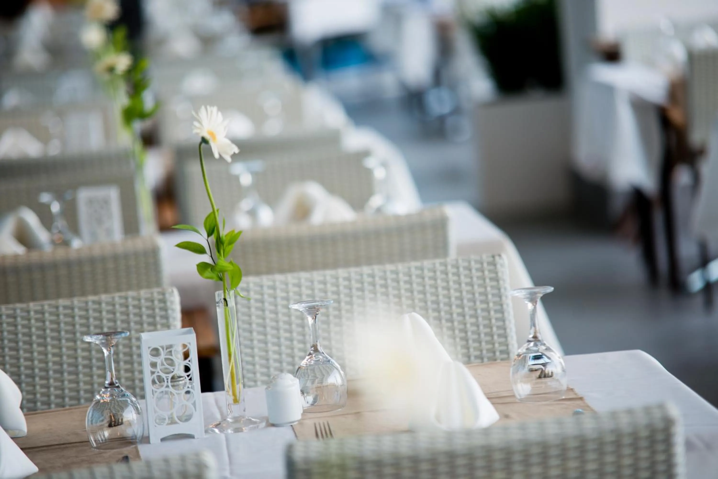 Decorative detail in Selene Beach & Spa Hotel - Adult Only - Ultra All Inclusive