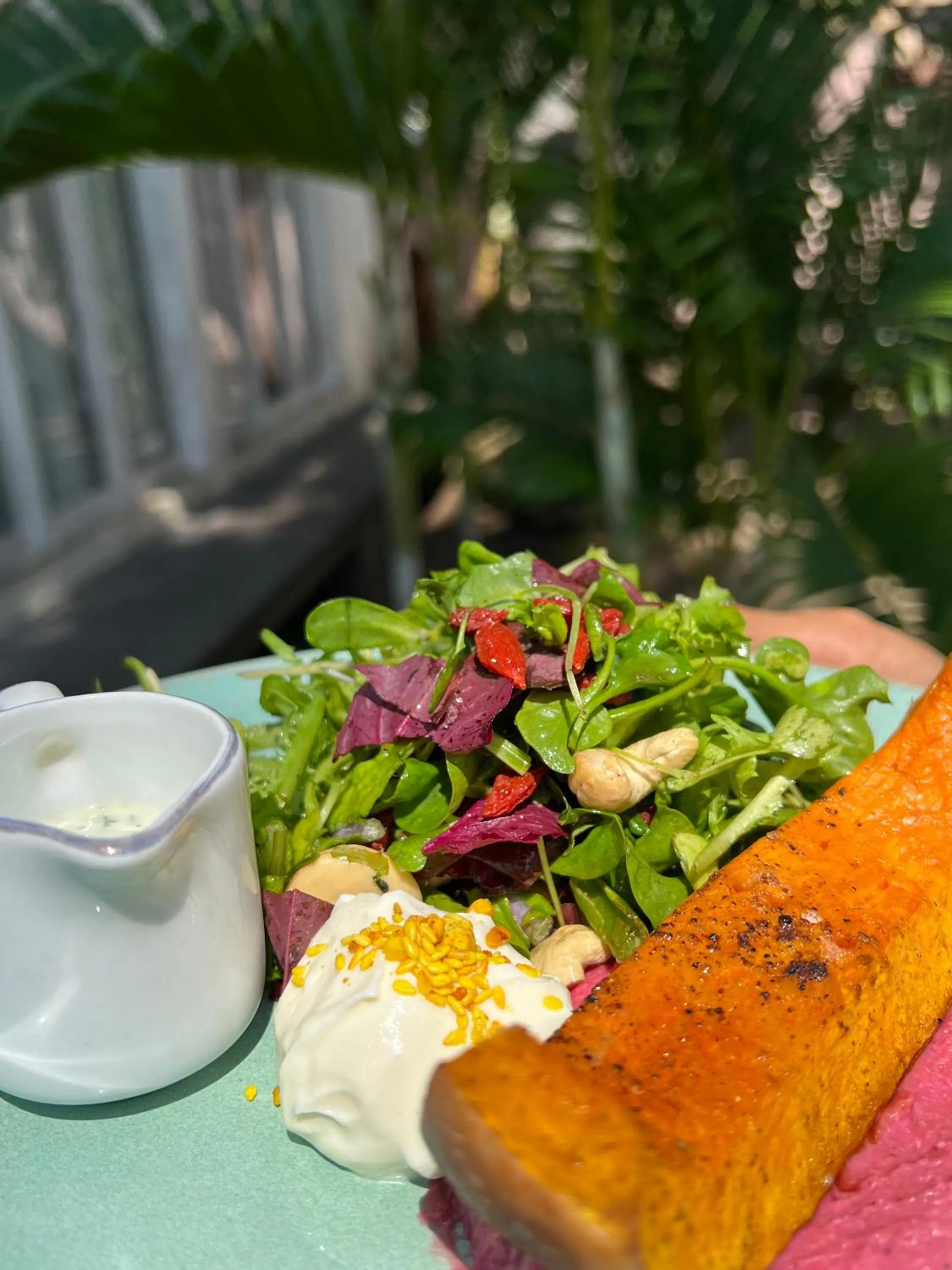 Captain Coconuts Gili Air