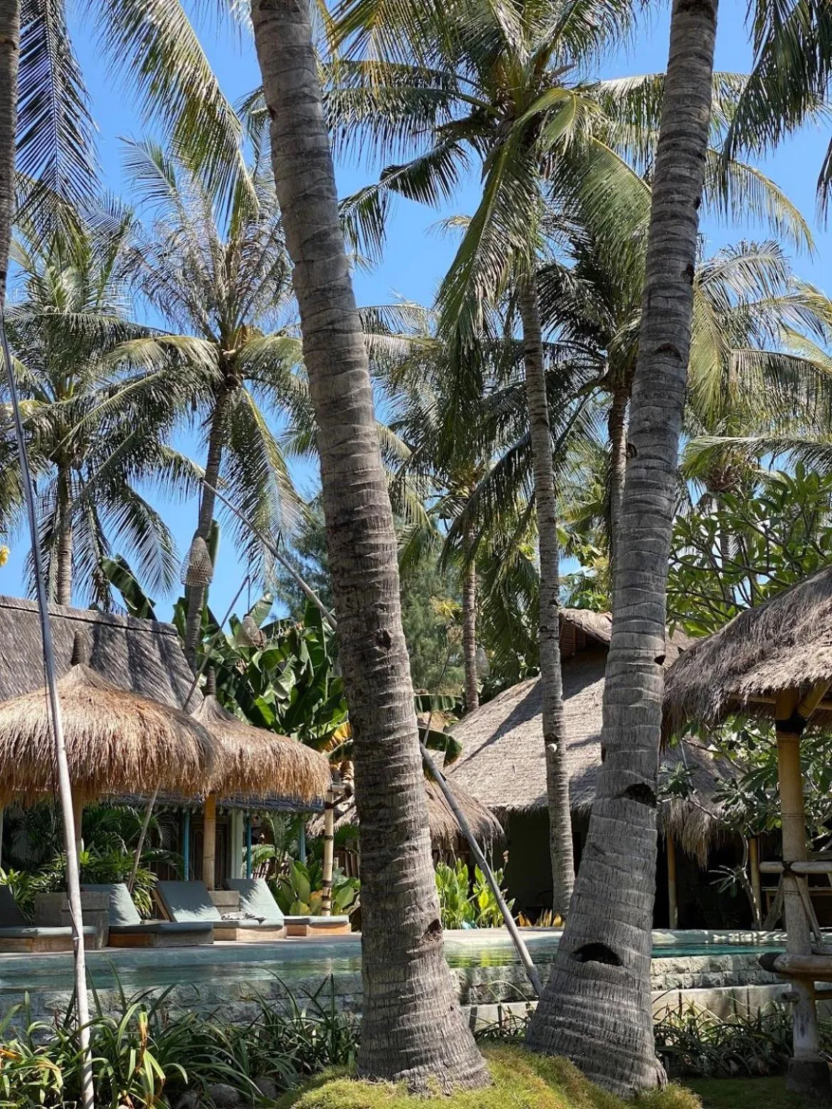 Captain Coconuts Gili Air