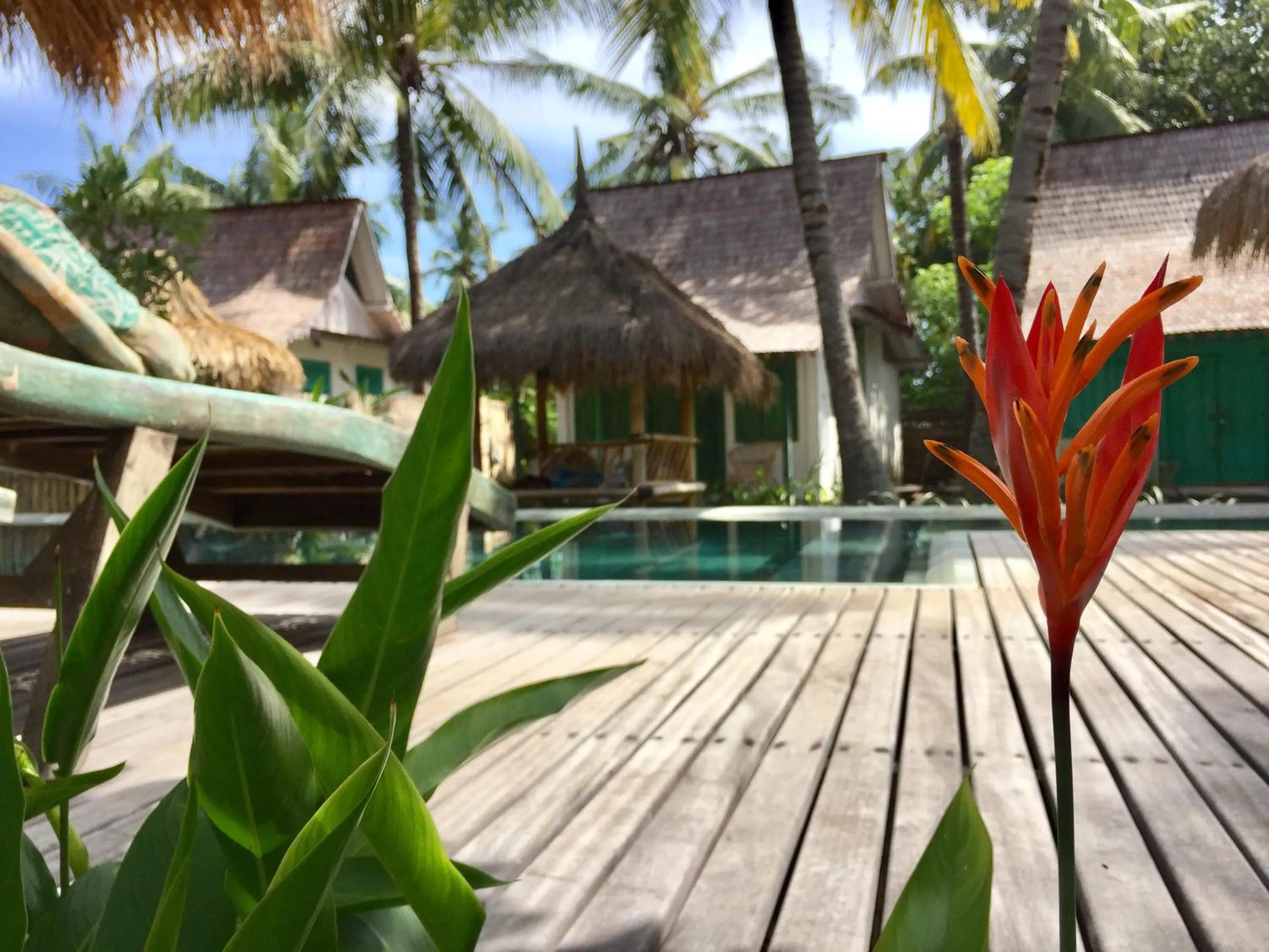 Captain Coconuts Gili Air