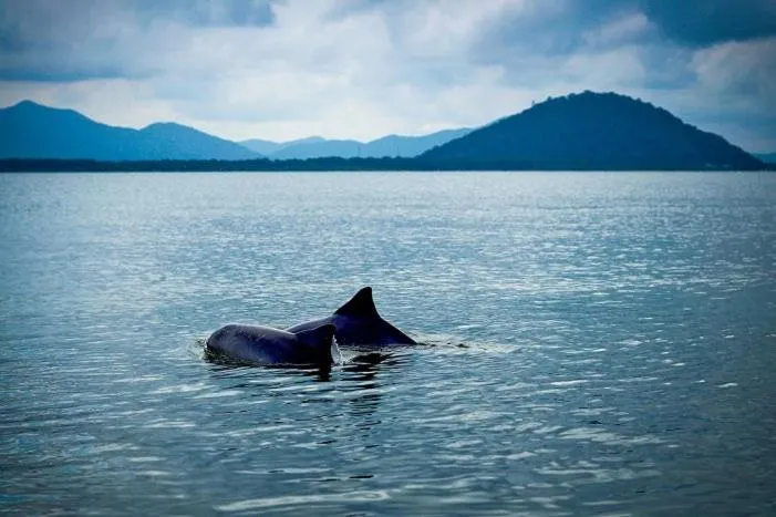 Off site in Hotel Marazul