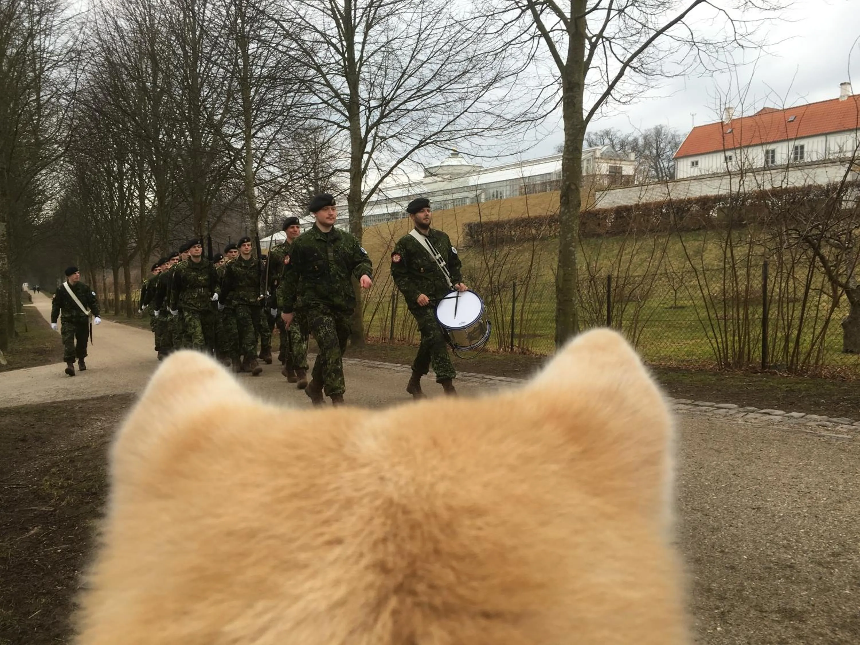 Off site in Fredensborg Vandrerhjem, i Kongens baghave
