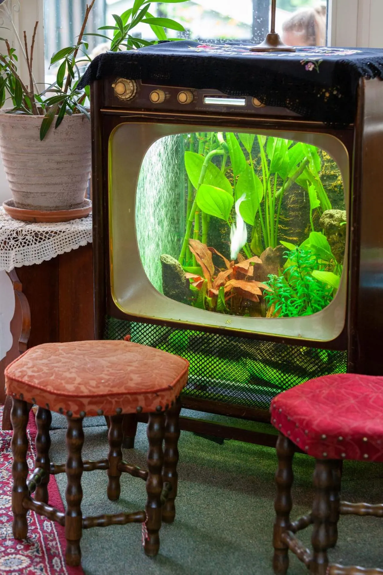 Decorative detail in Fredensborg Vandrerhjem, i Kongens baghave