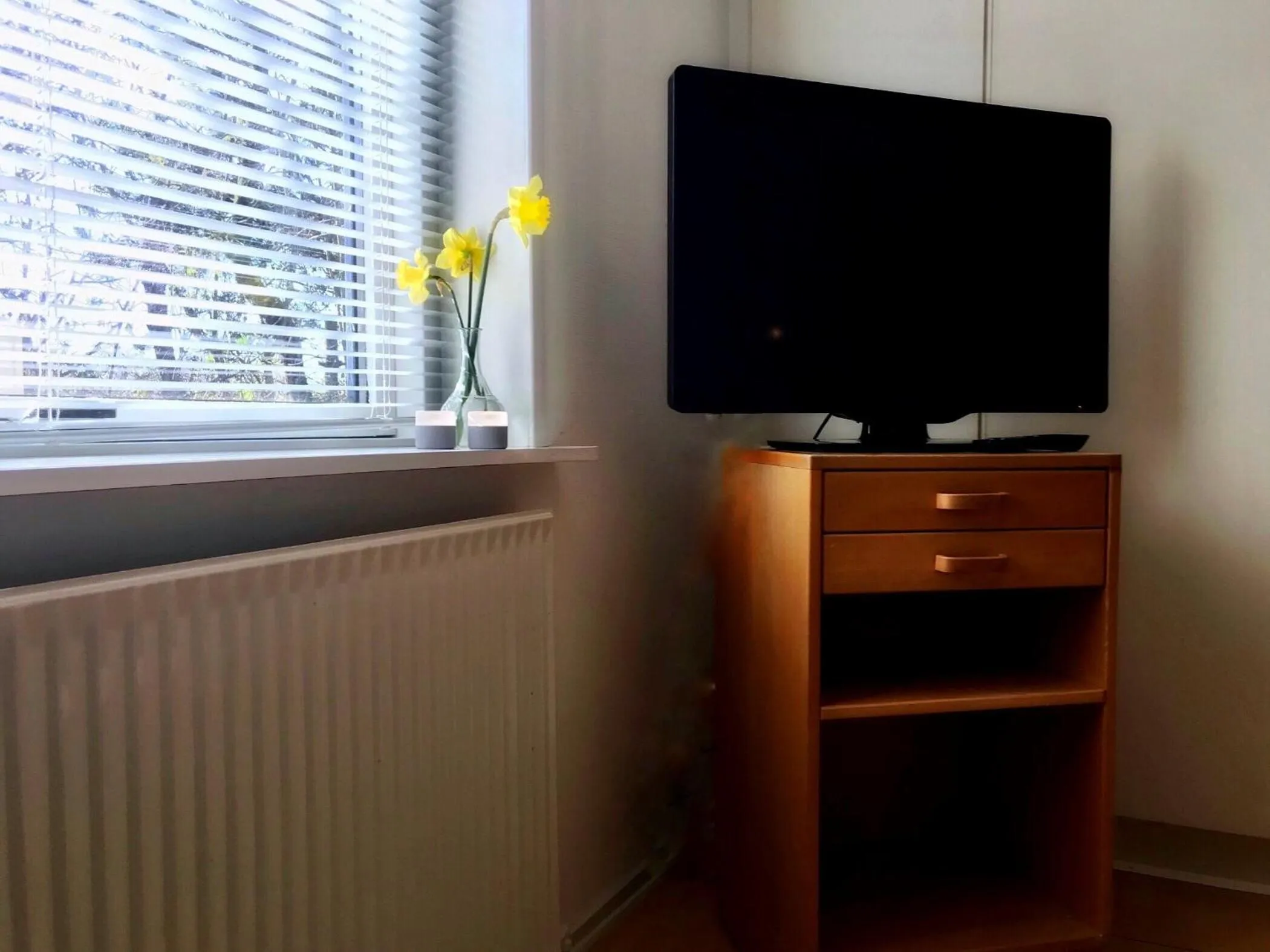 TV and multimedia in Hotel Medio Fredericia