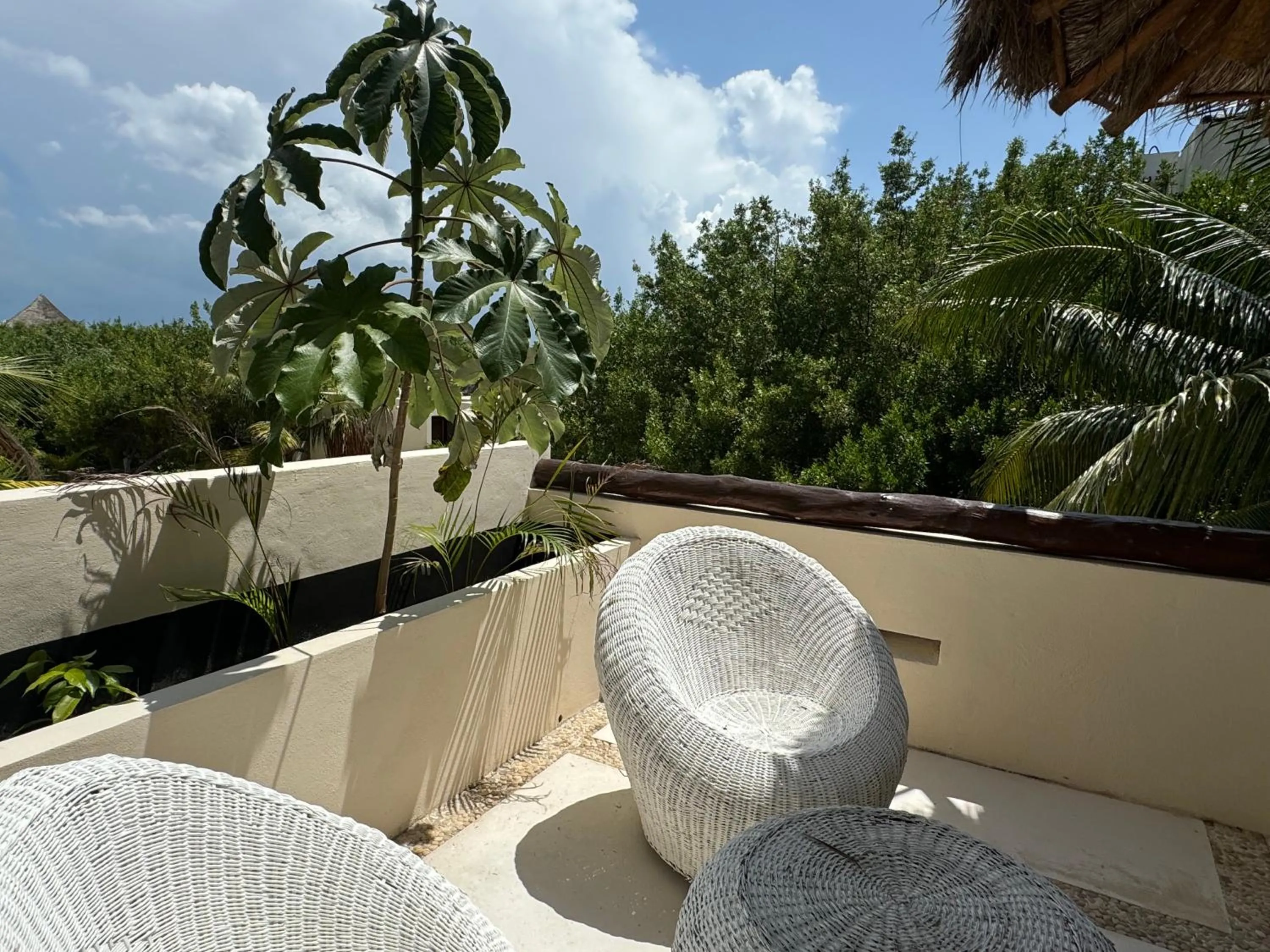Patio in Casa Punta Coco & Beach Club