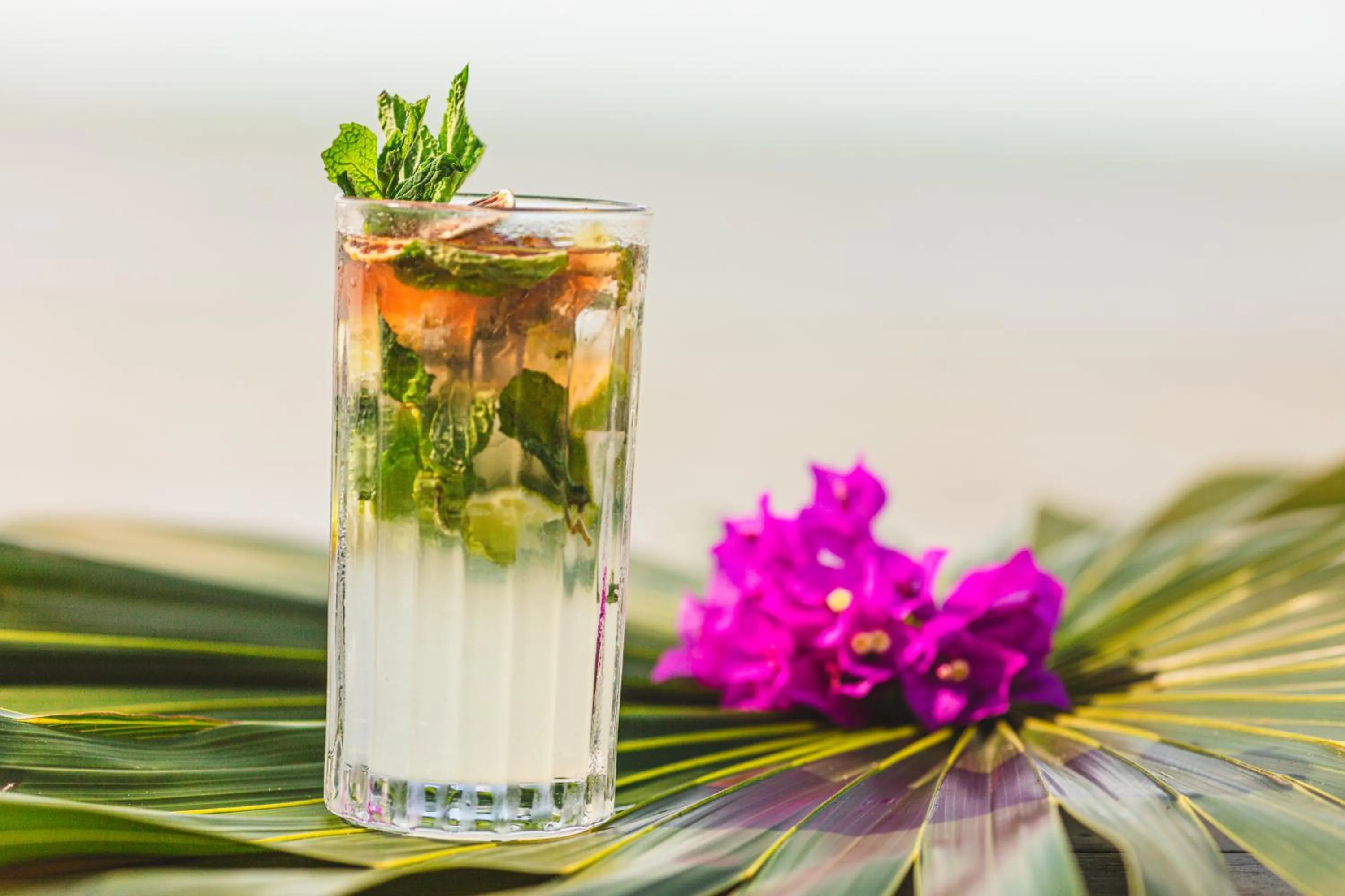 Food and drinks in Casa Punta Coco & Beach Club