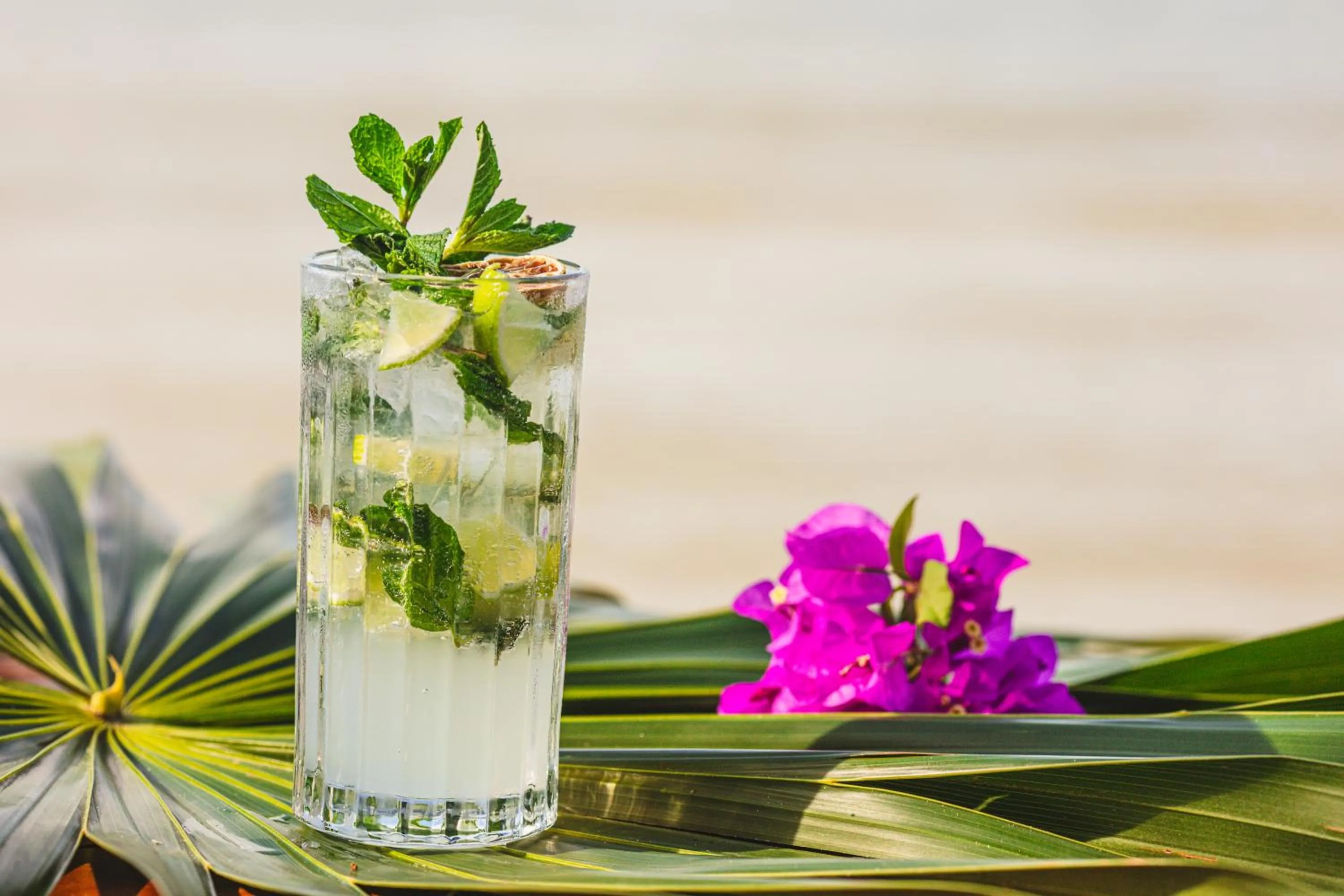 Day in Casa Punta Coco & Beach Club