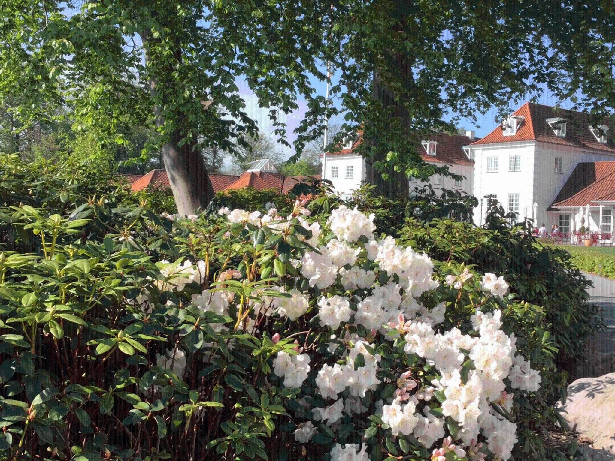 Garden in Rungstedgaard